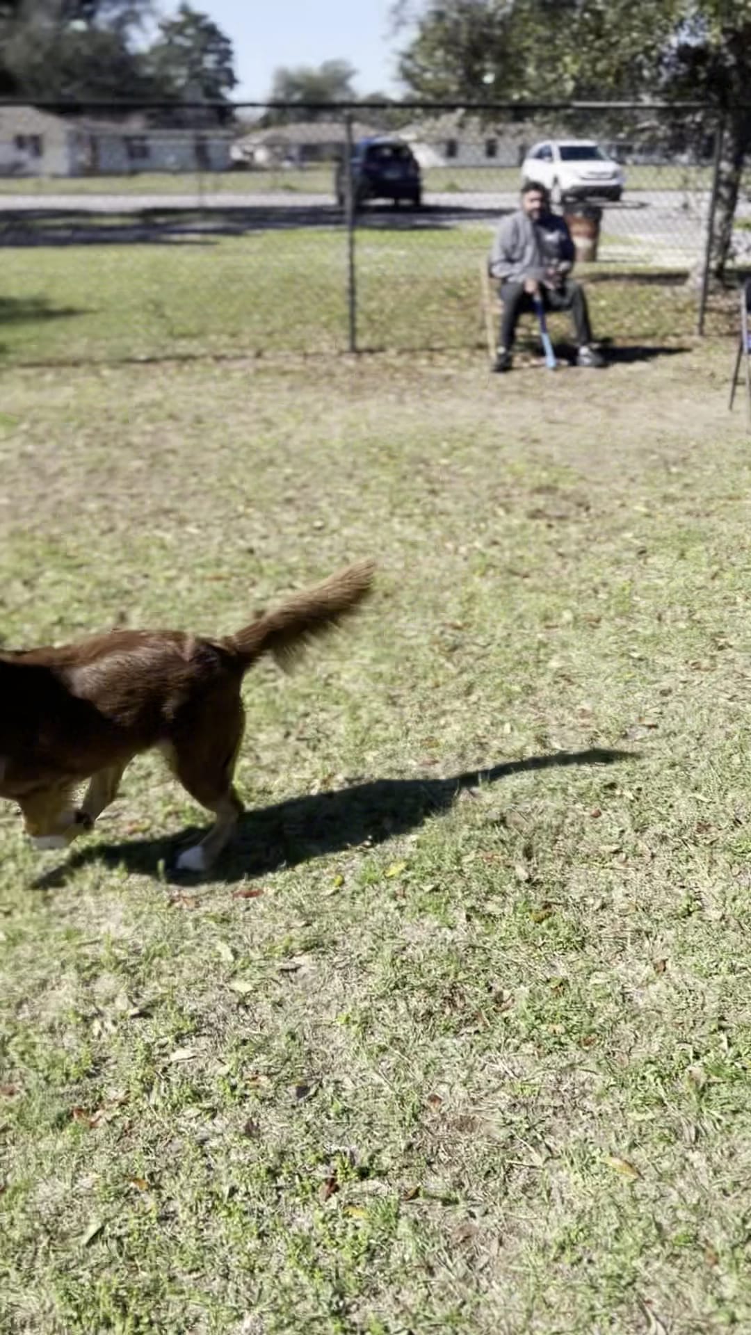"Bark Park" Dog Park - Pensacola, FL