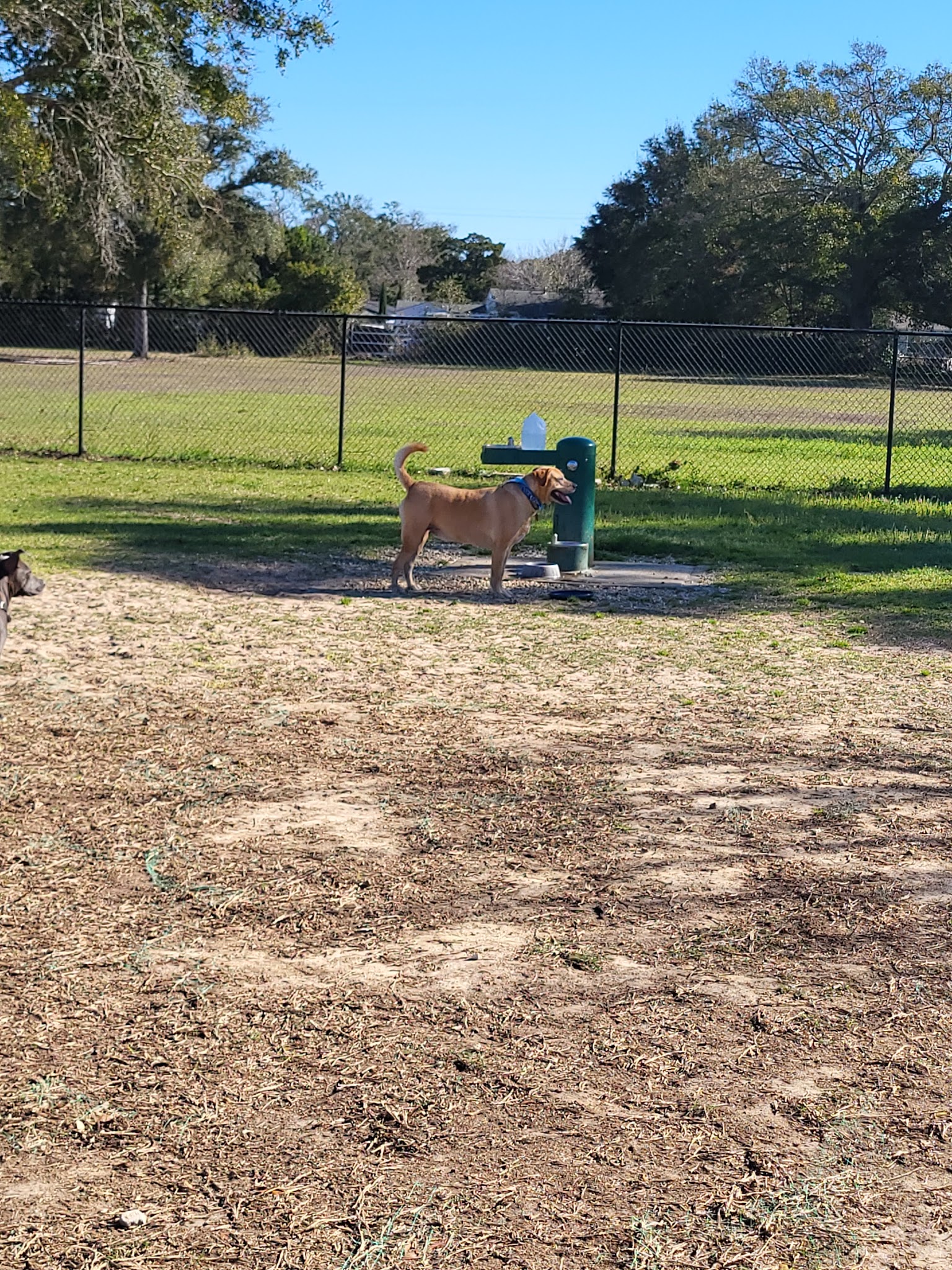 "Bark Park" Dog Park - Pensacola, FL