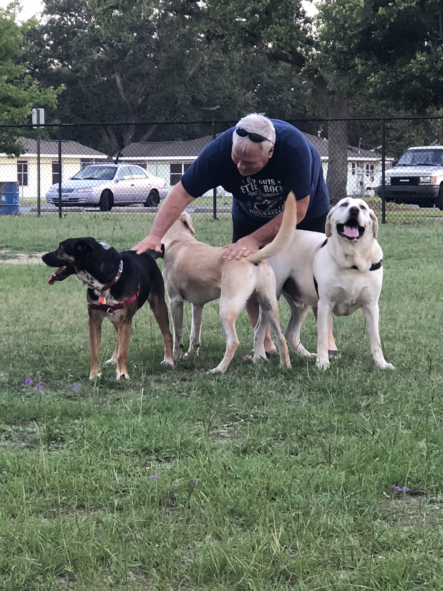 "Bark Park" Dog Park - Pensacola, FL