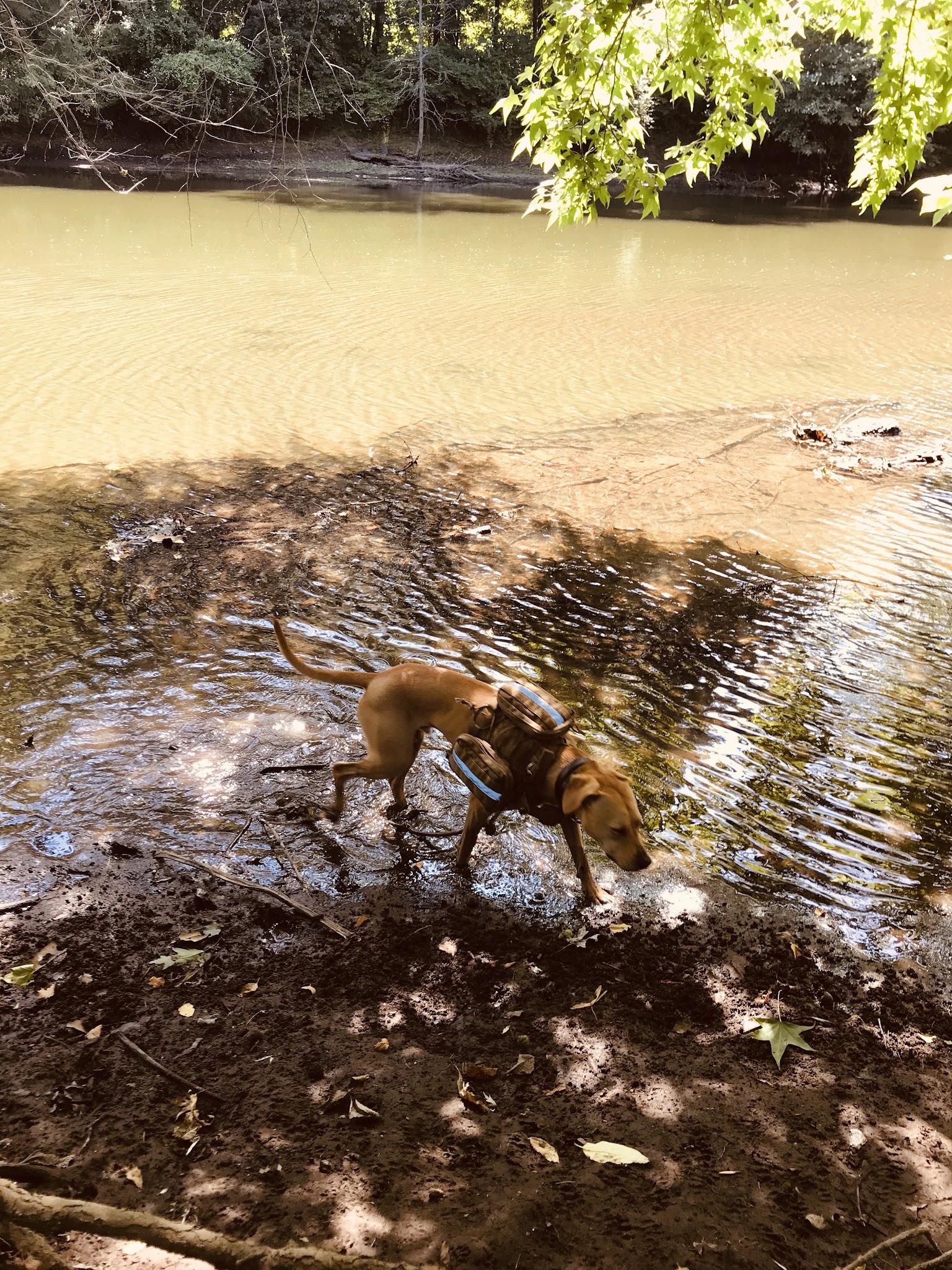 Riverside Park - Pequannock Township, NJ
