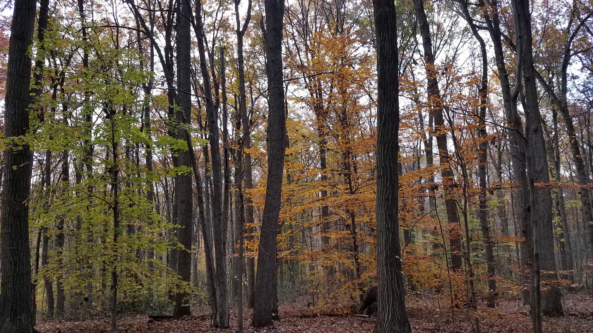 Martic Township Park - Pequea, PA
