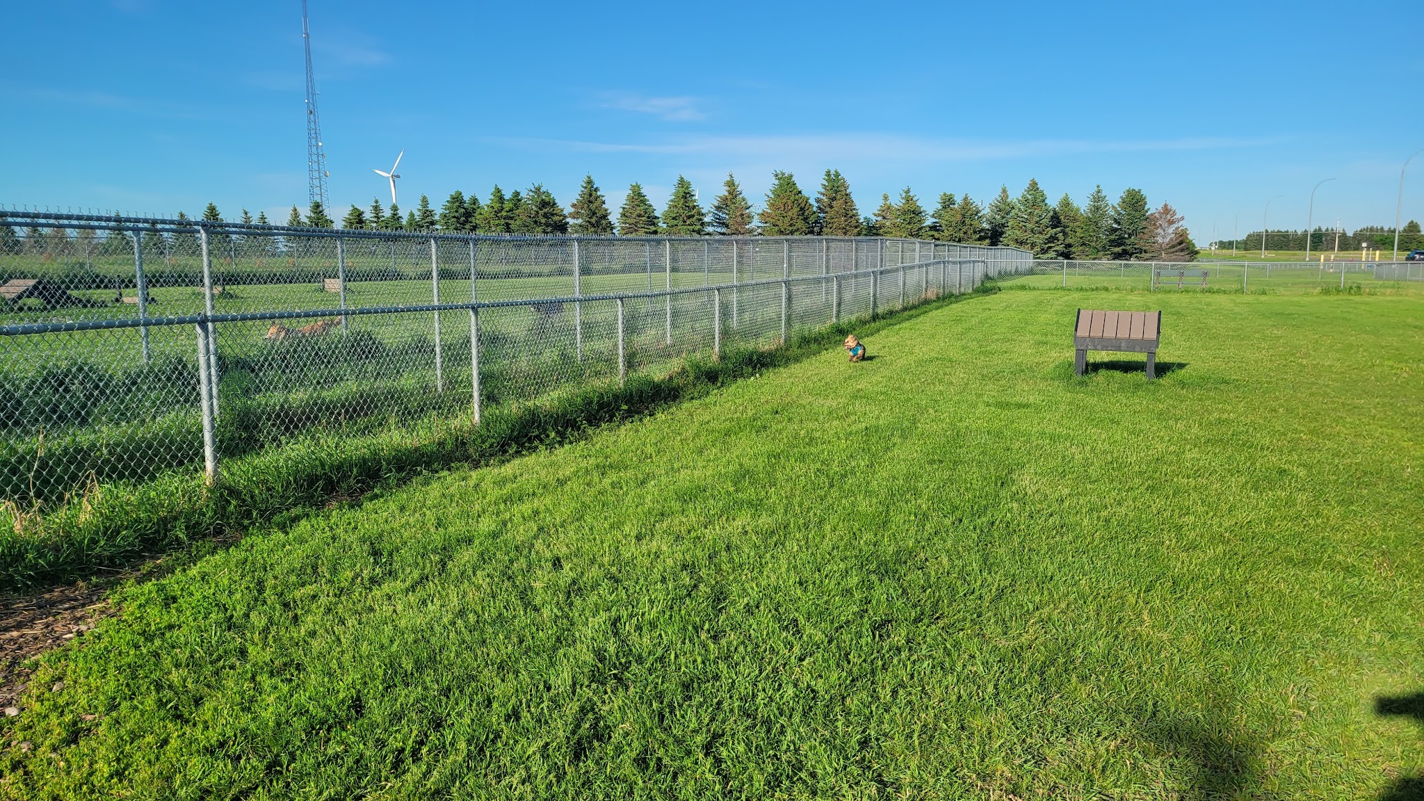 Dog Park - Perham, MN