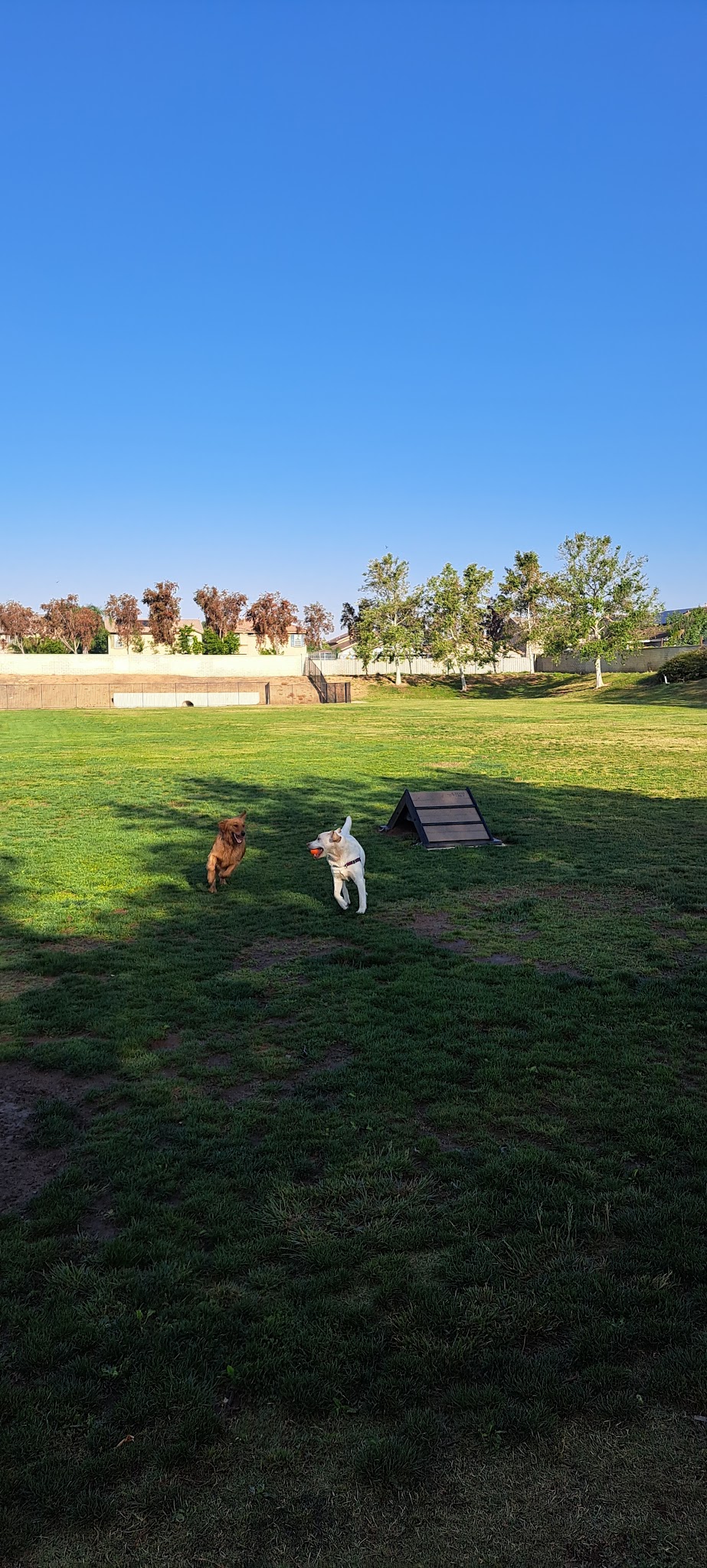 Paws Dog Park - Perris, CA