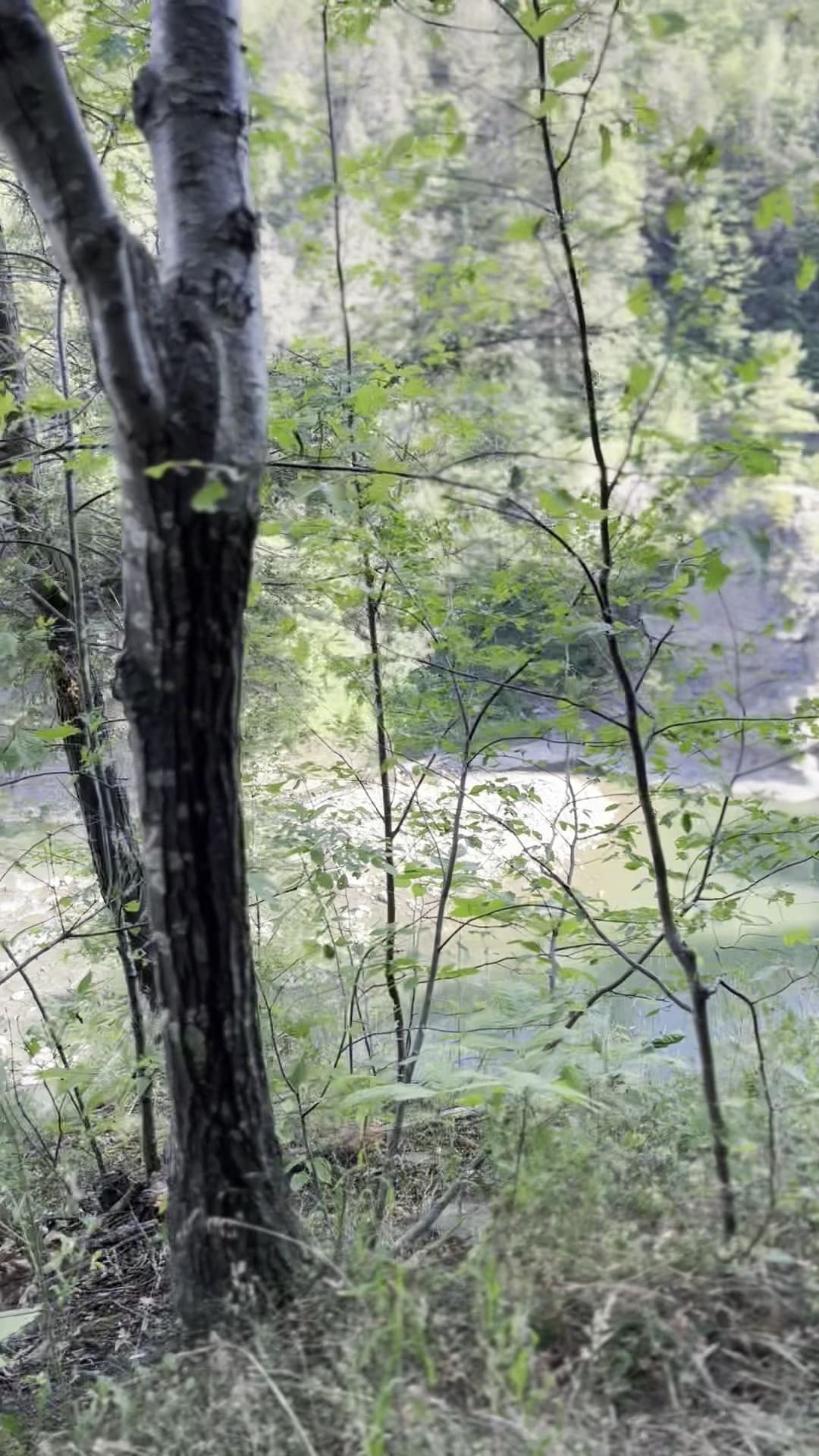 Perry Entrance / Letchworth State Park - Perry, NY