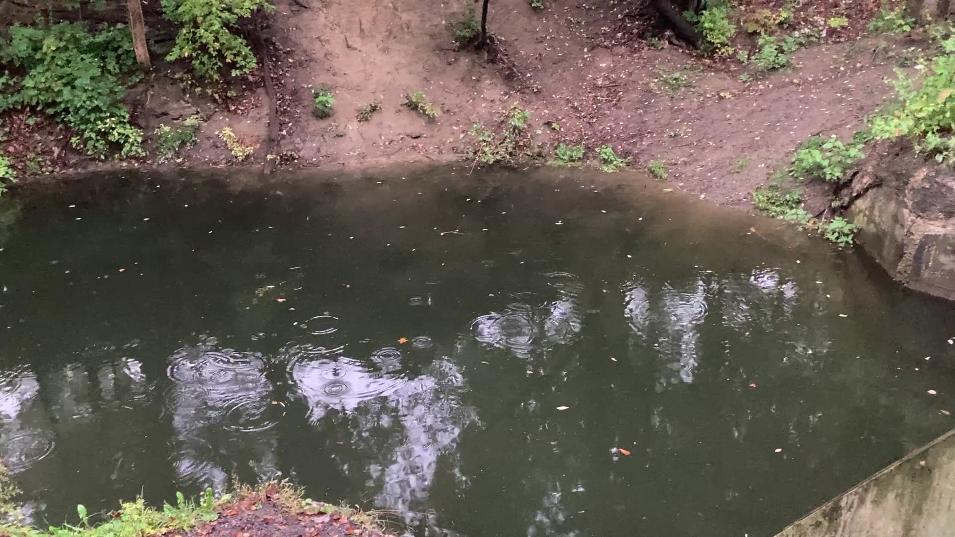 Silver Lake Outlet Trail - Perry, NY