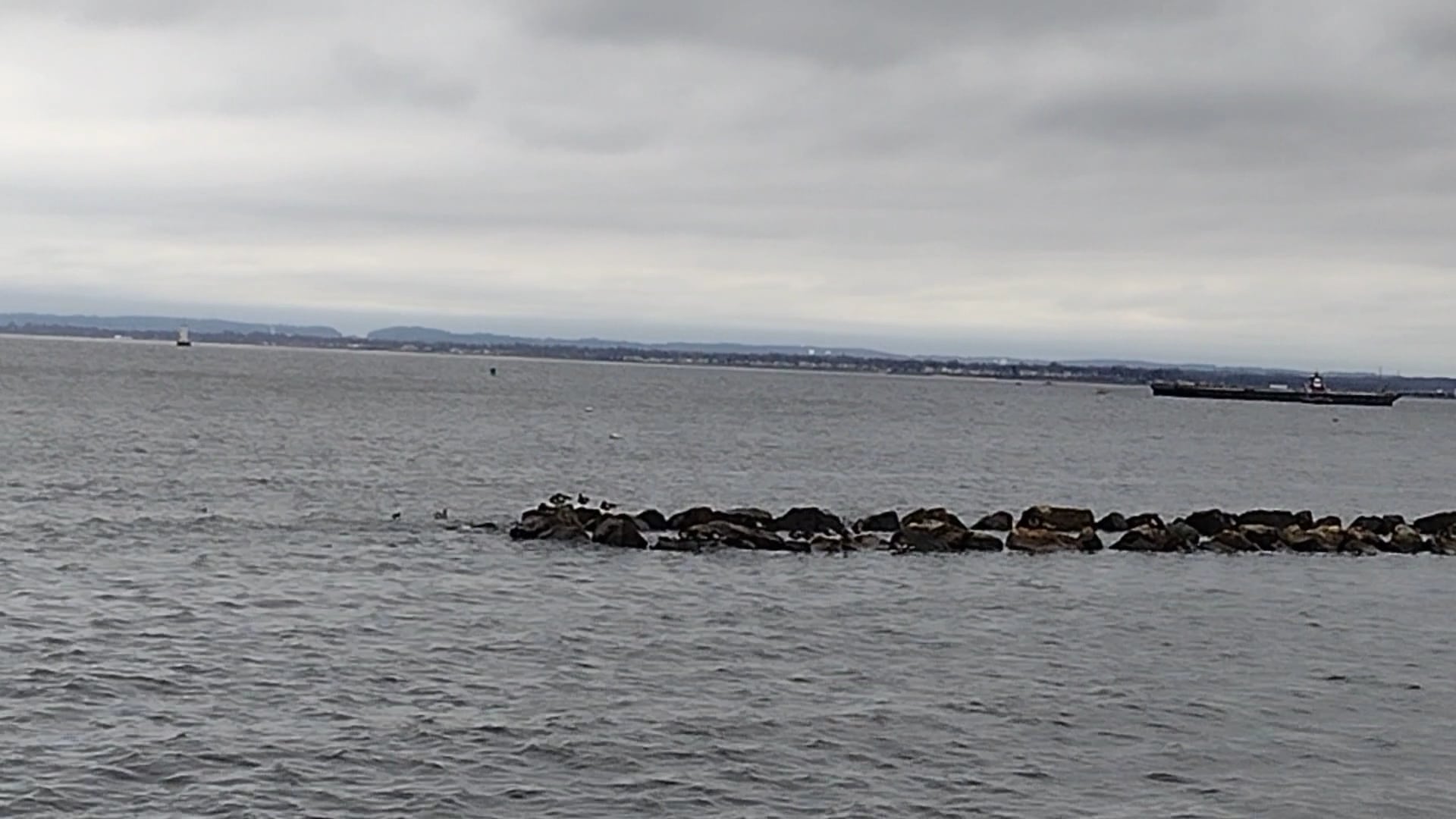 Perth Amboy Fishing Pier - Perth Amboy, NJ