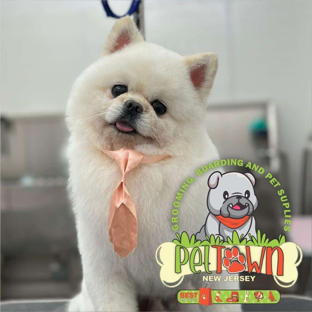 Pet Town NJ - Perth Amboy, NJ