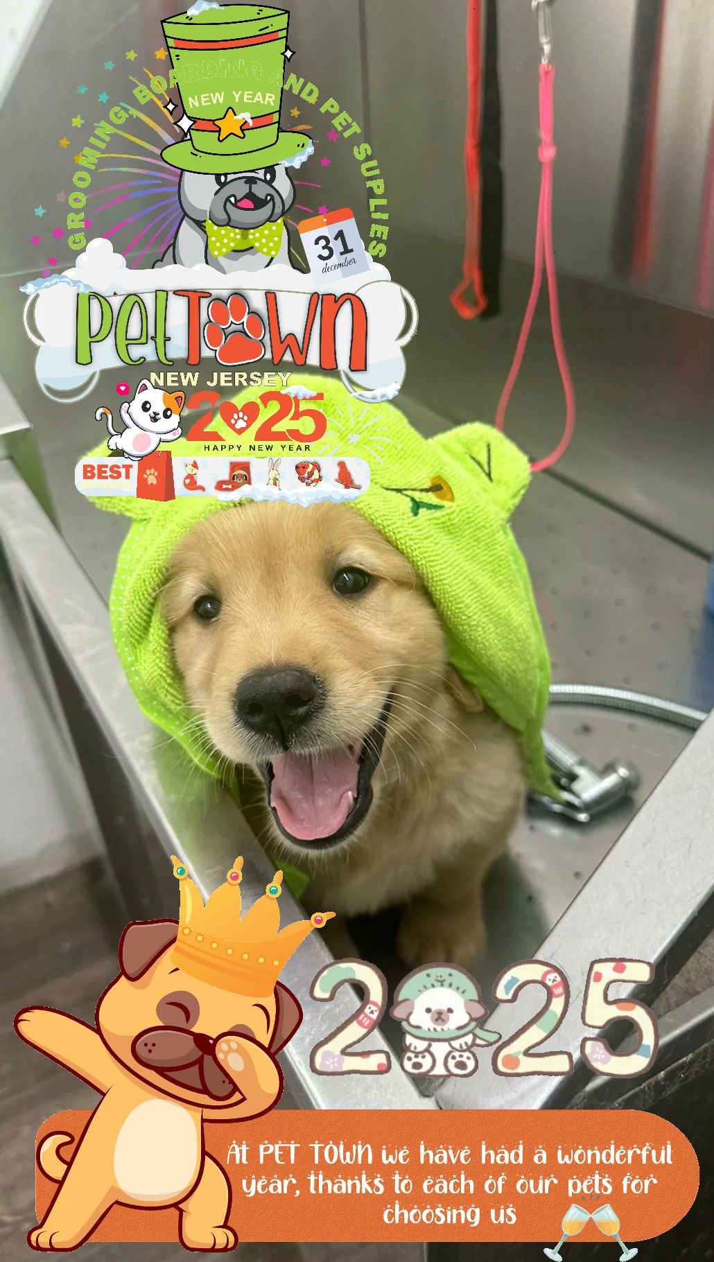 Pet Town NJ - Perth Amboy, NJ