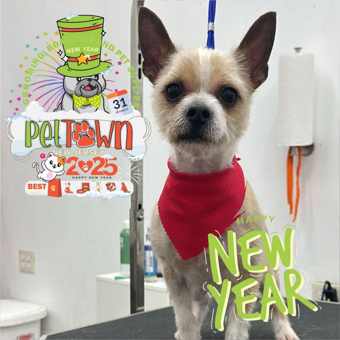 Pet Town NJ - Perth Amboy, NJ