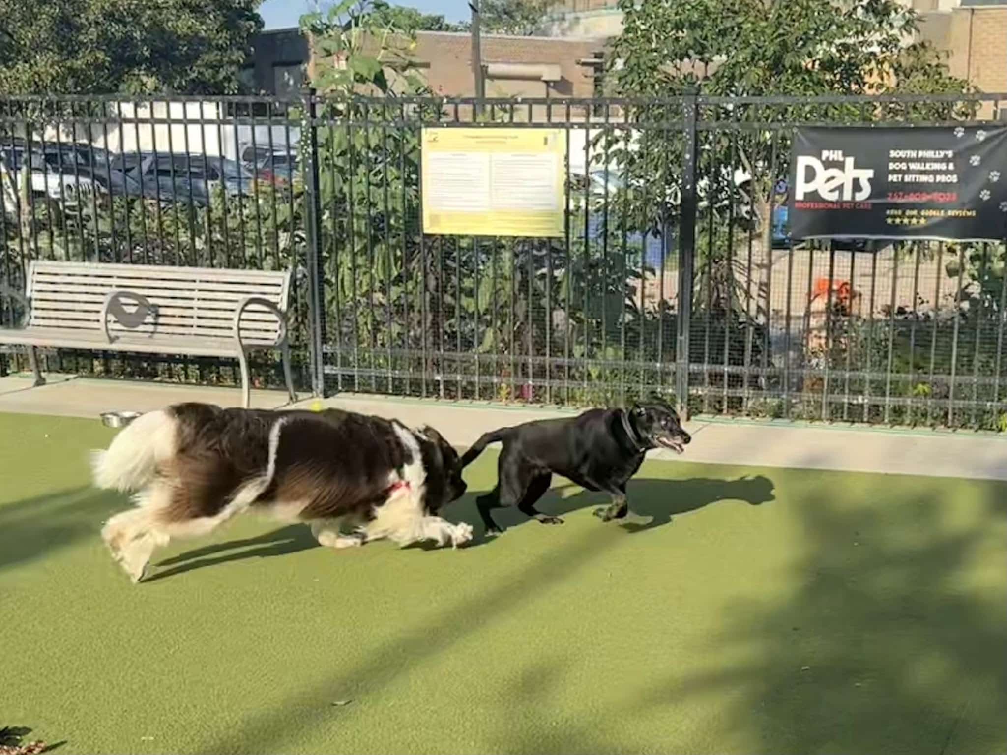 Columbus Square Dog Park - Philadelphia, PA