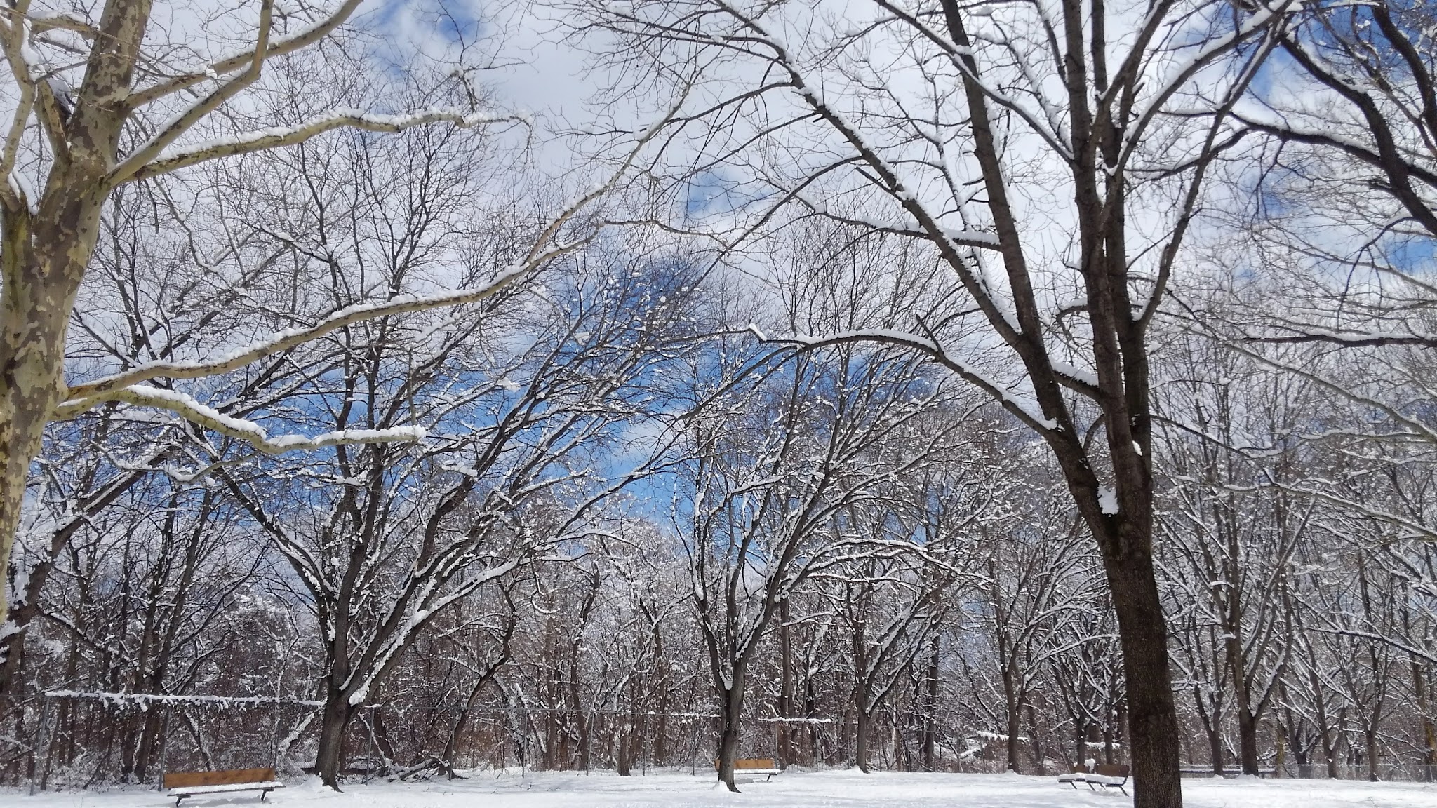 Delaware River Park - Phillipsburg, NJ