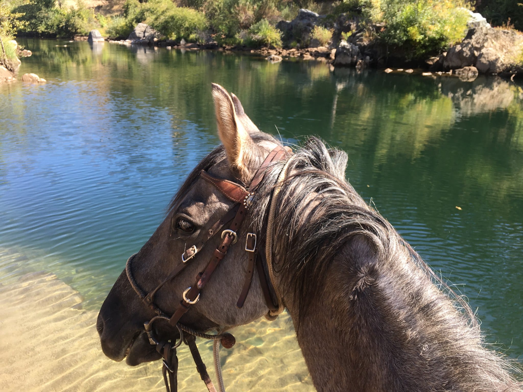 Pit Stop Beach - Pilot Hill, CA