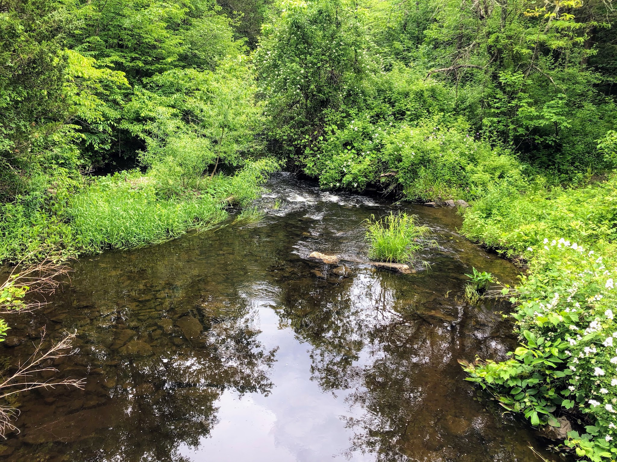 Crawford Walking Trail - Pine Bush, NY