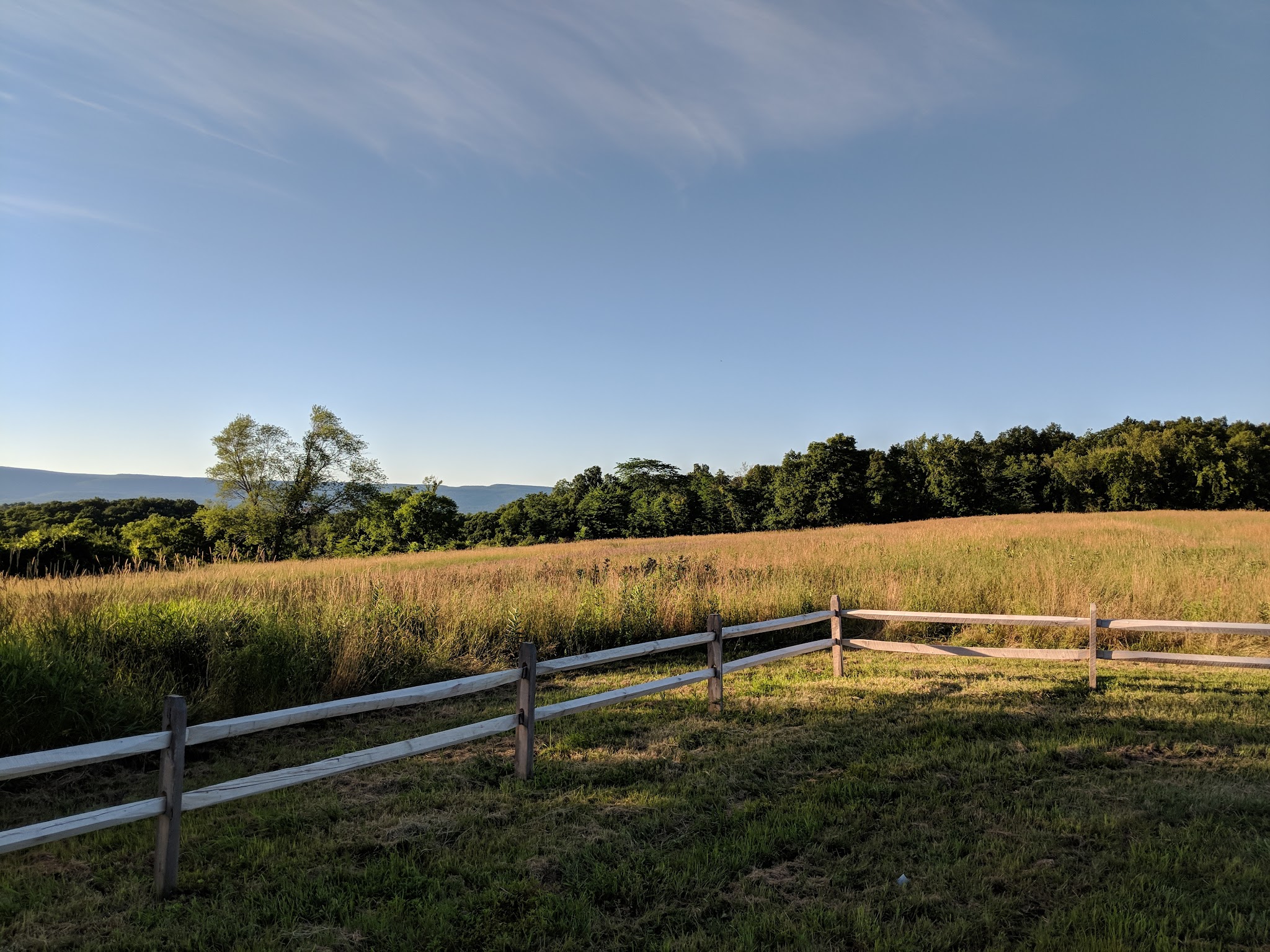 Crawford Walking Trail - Pine Bush, NY