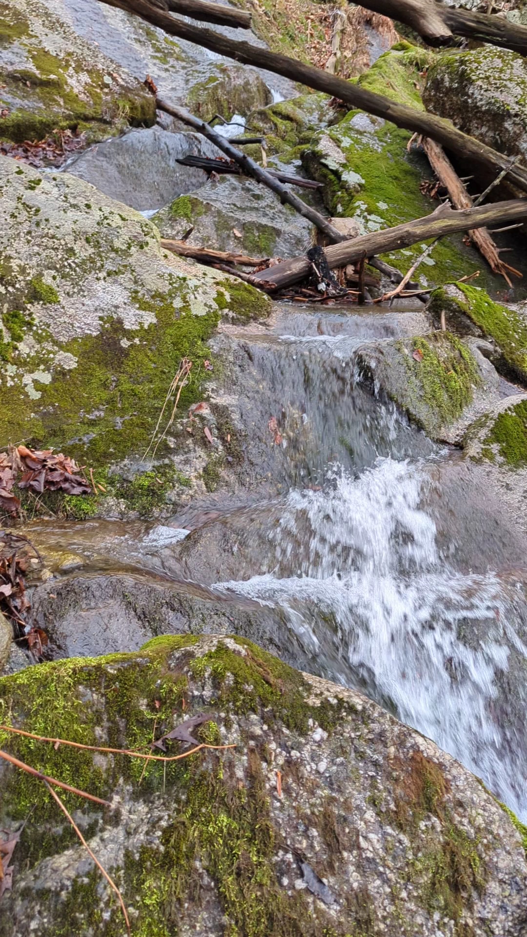 Shawangunk Ridge Forest Trailhead Parking - Pine Bush, NY