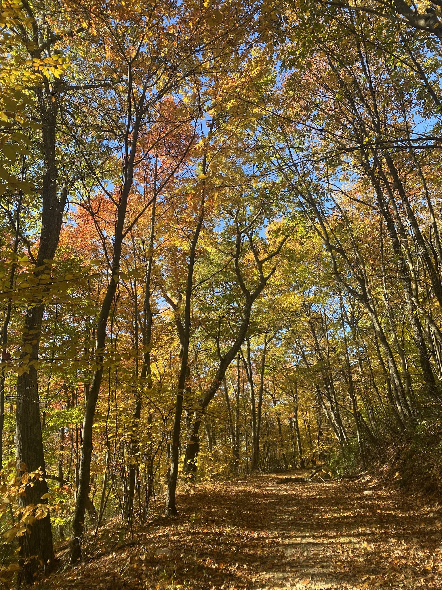 Shawangunk Ridge Forest Trailhead Parking - Pine Bush, NY