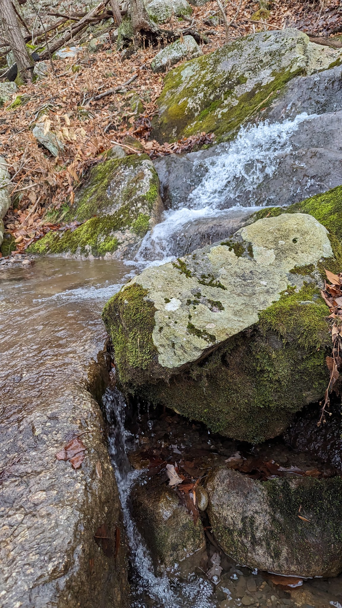 Shawangunk Ridge Forest Trailhead Parking - Pine Bush, NY