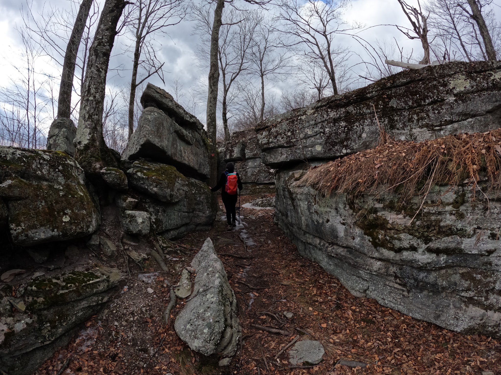 Shawangunk Ridge State Forest Trailhead & Parking Lot - Pine Bush, NY