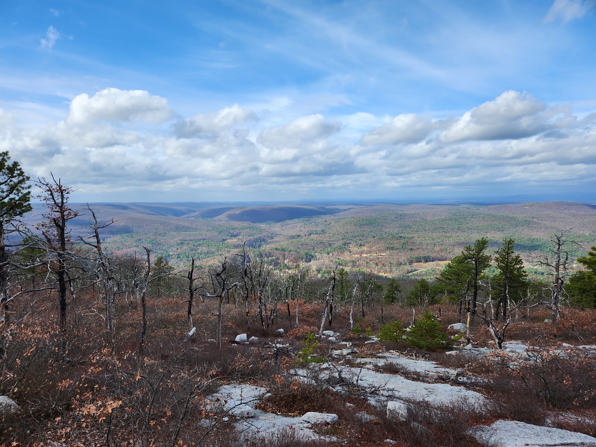 Shawangunk Ridge State Forest Trailhead & Parking Lot - Pine Bush, NY