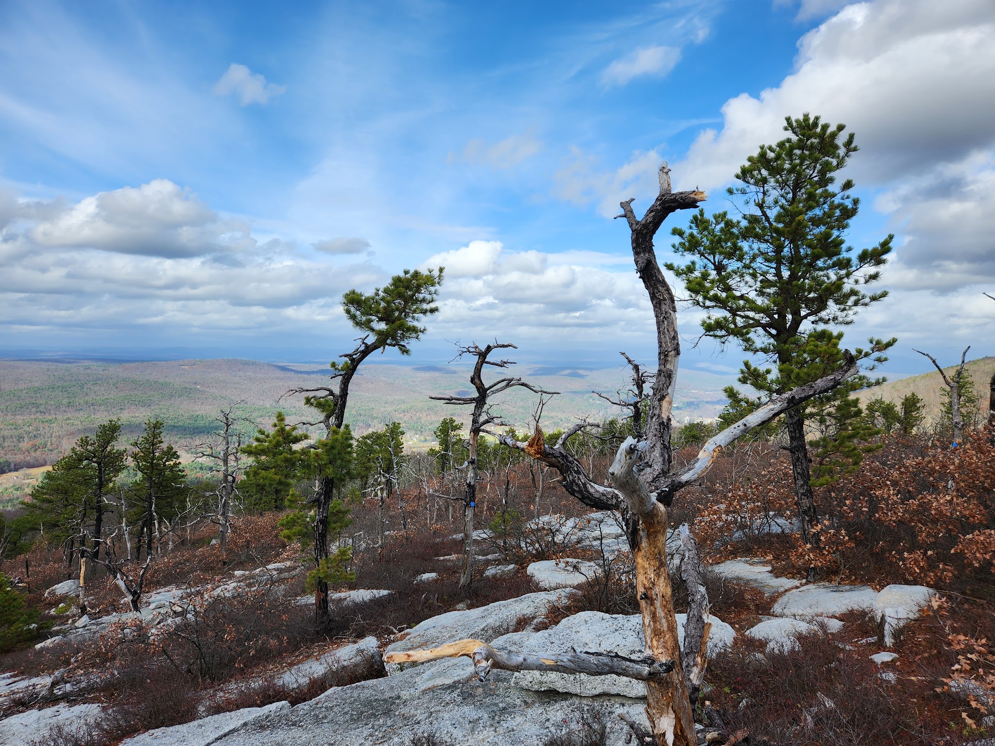 Shawangunk Ridge State Forest Trailhead & Parking Lot - Pine Bush, NY