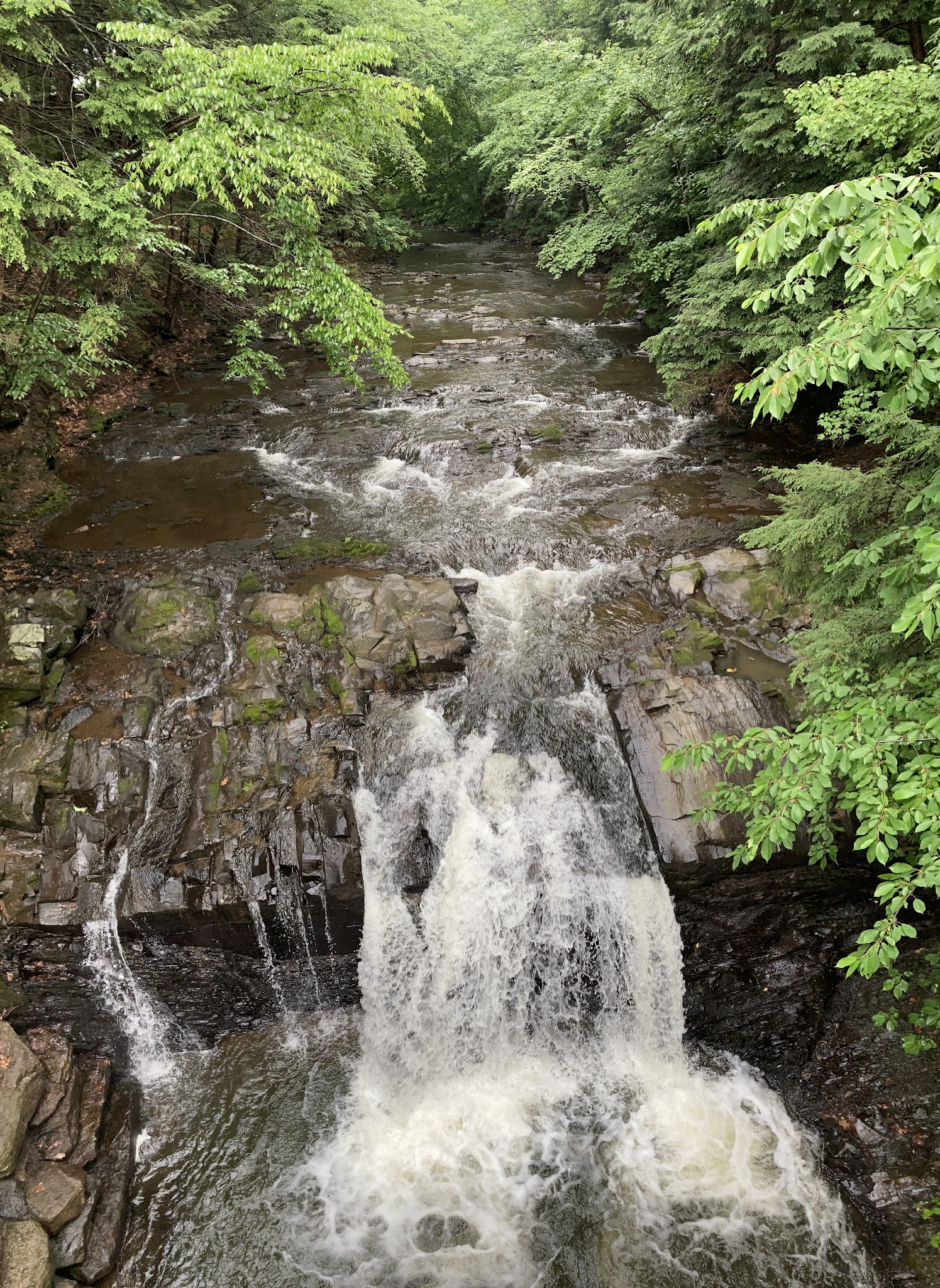 Craig Morgan Walking Trail - Pine Grove, PA