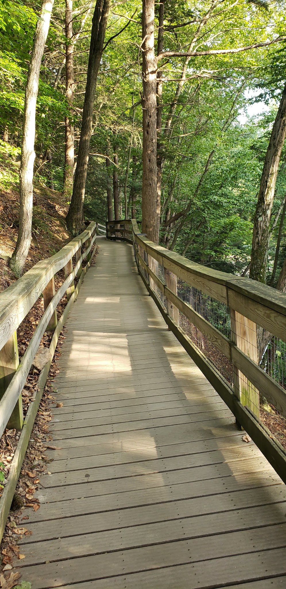 Craig Morgan Walking Trail - Pine Grove, PA