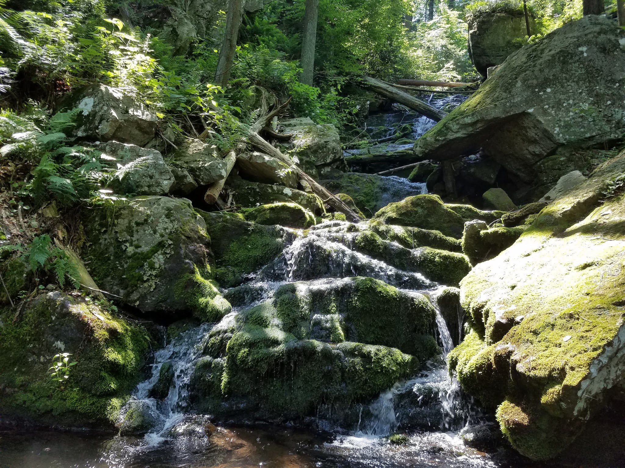 Swatara State Park - Pine Grove, PA