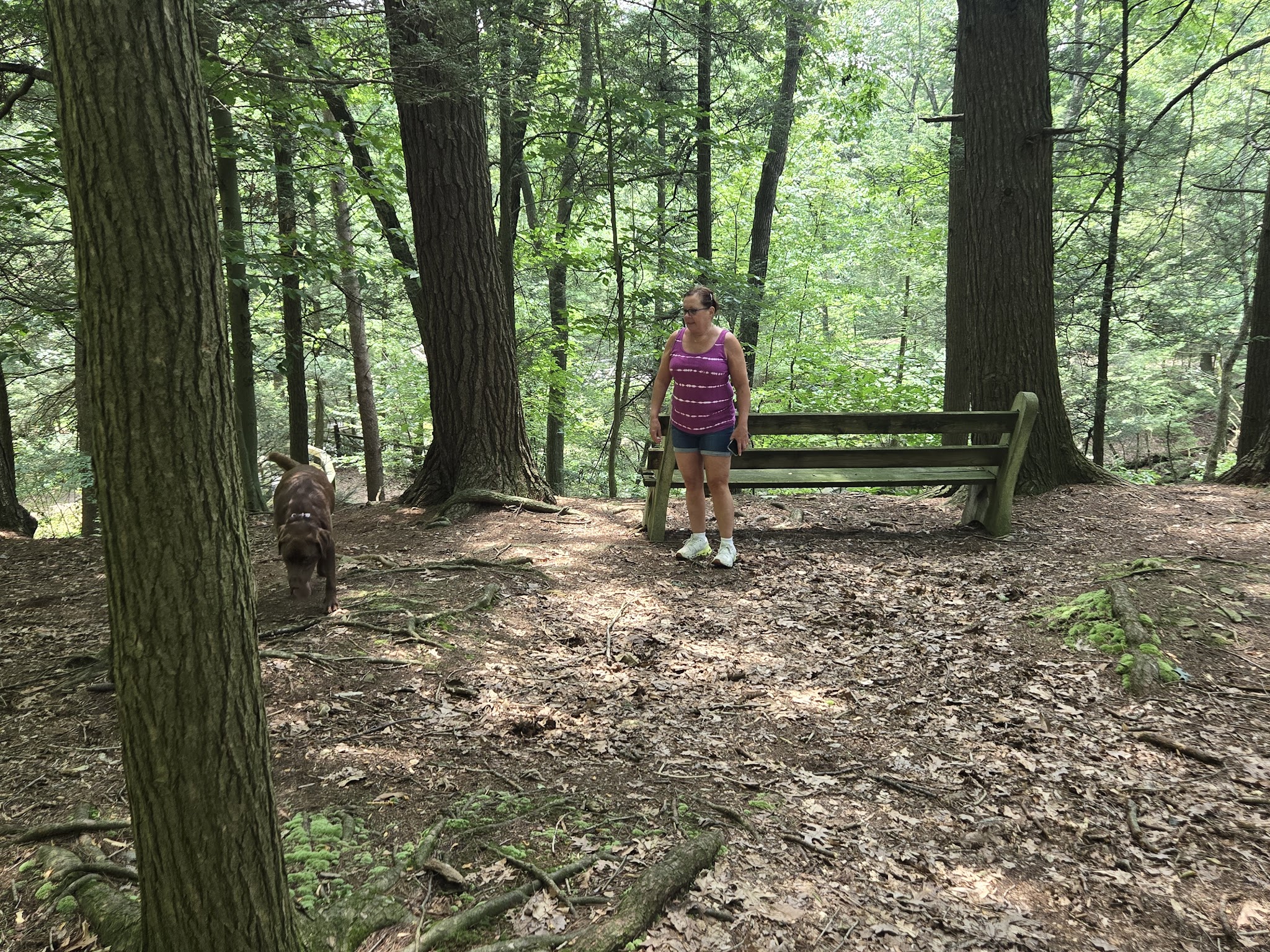 Sweet Arrow Falls - Pine Grove, PA