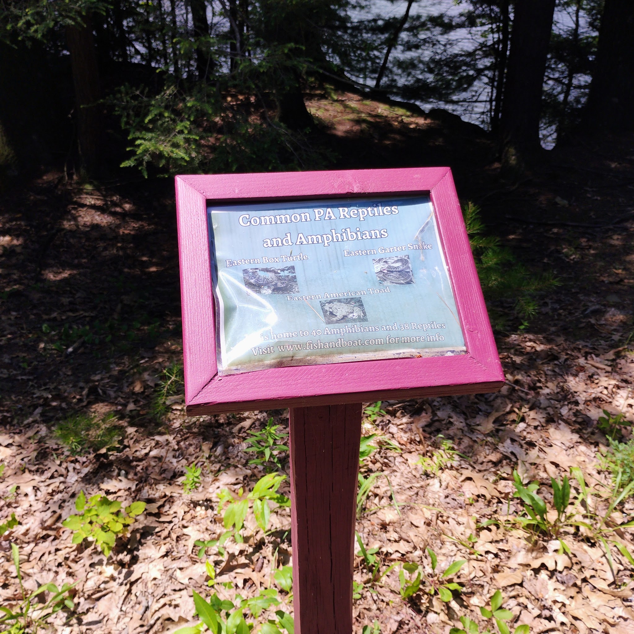 Sweet Arrow Lake - Pine Grove, PA