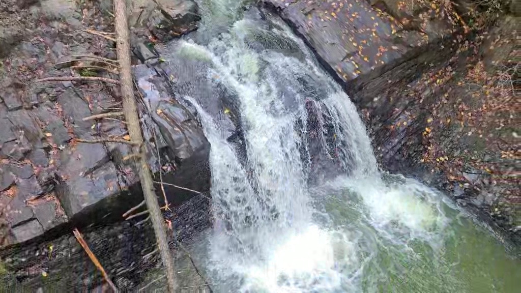 Sweet Arrow Lake - Pine Grove, PA