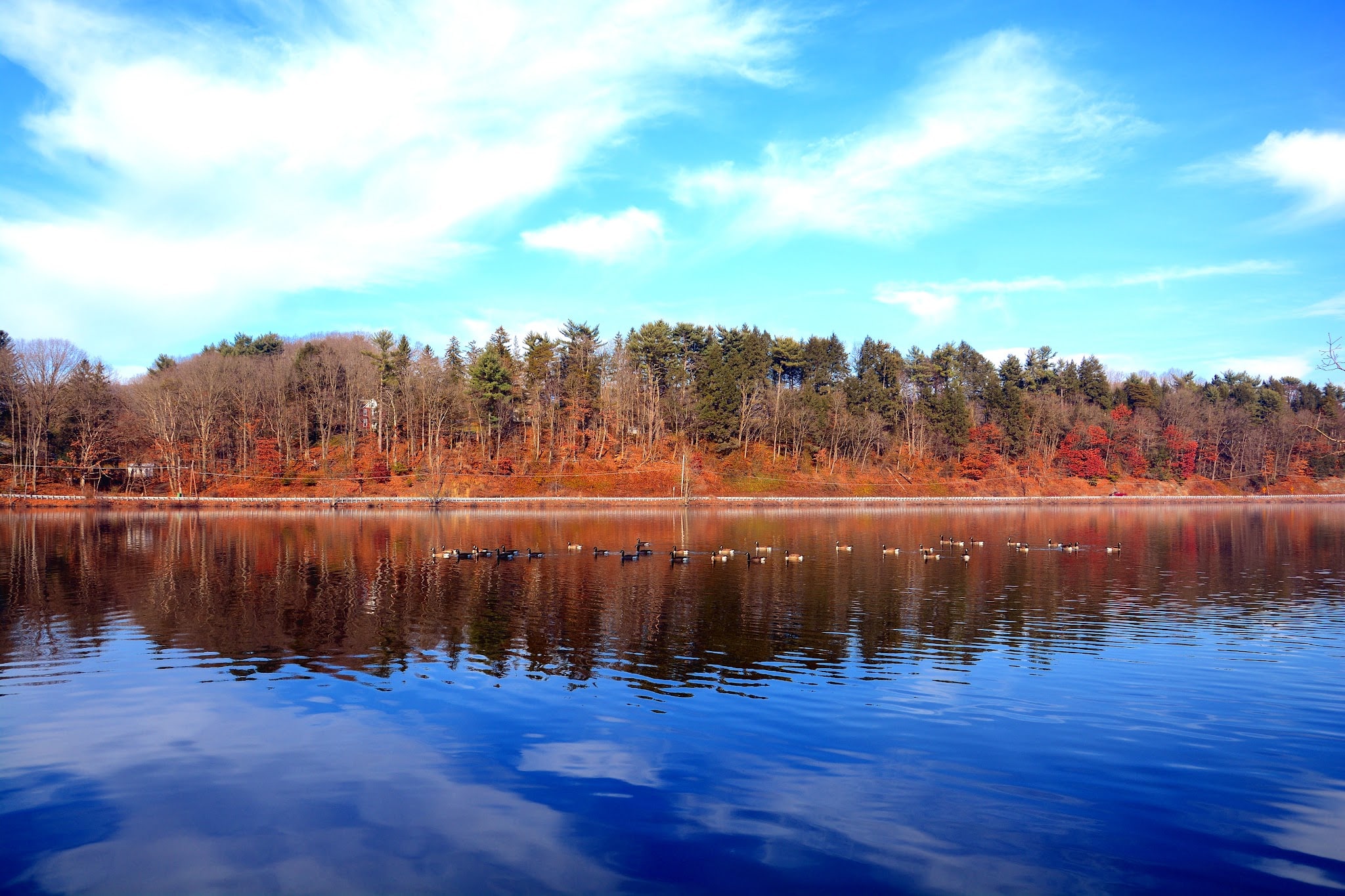 Sweet Arrow Lake County Park - Pine Grove, PA