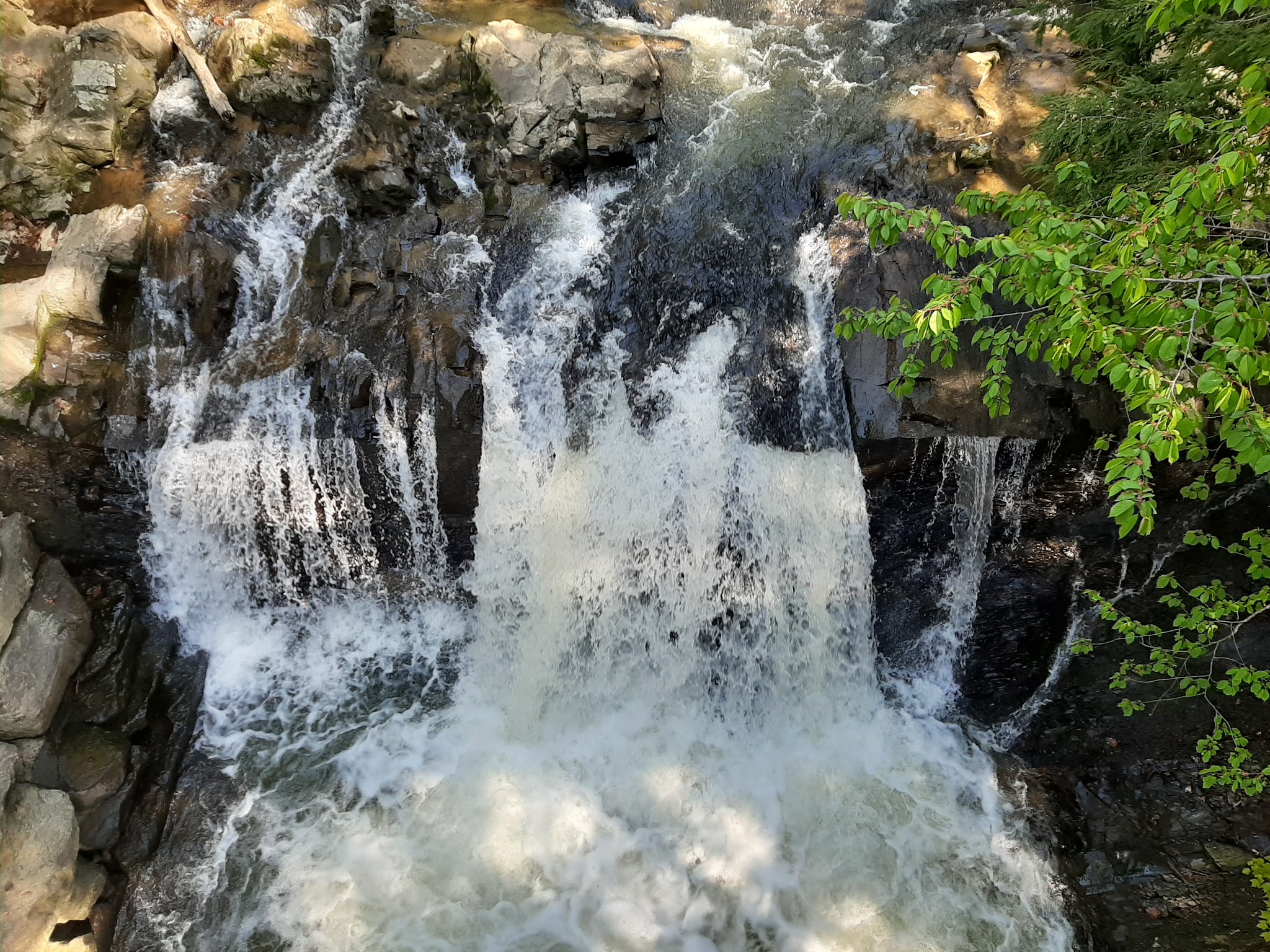Sweet Arrow Lake County Park - Pine Grove, PA