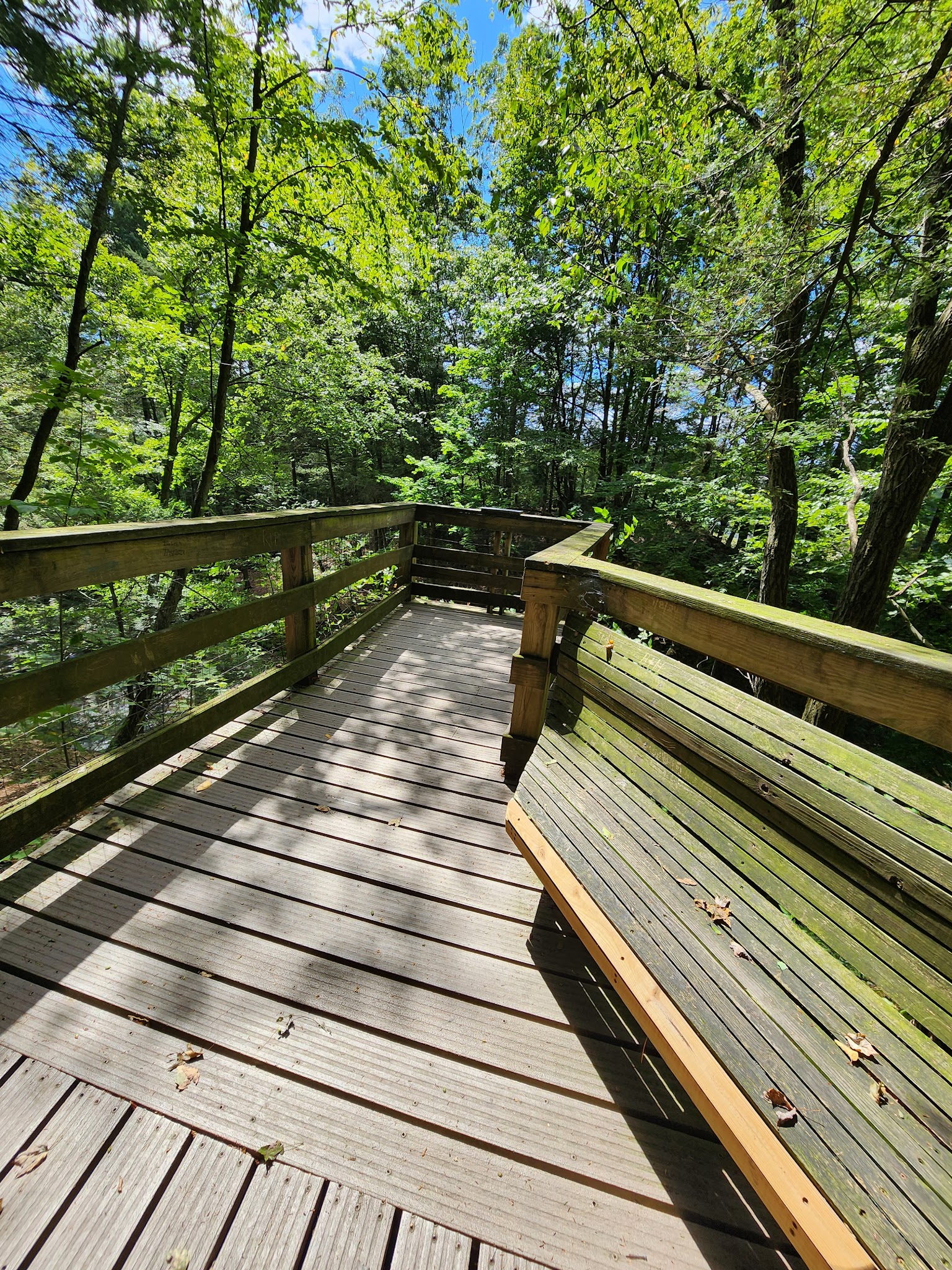 Sweet Arrow Lake County Park - Pine Grove, PA