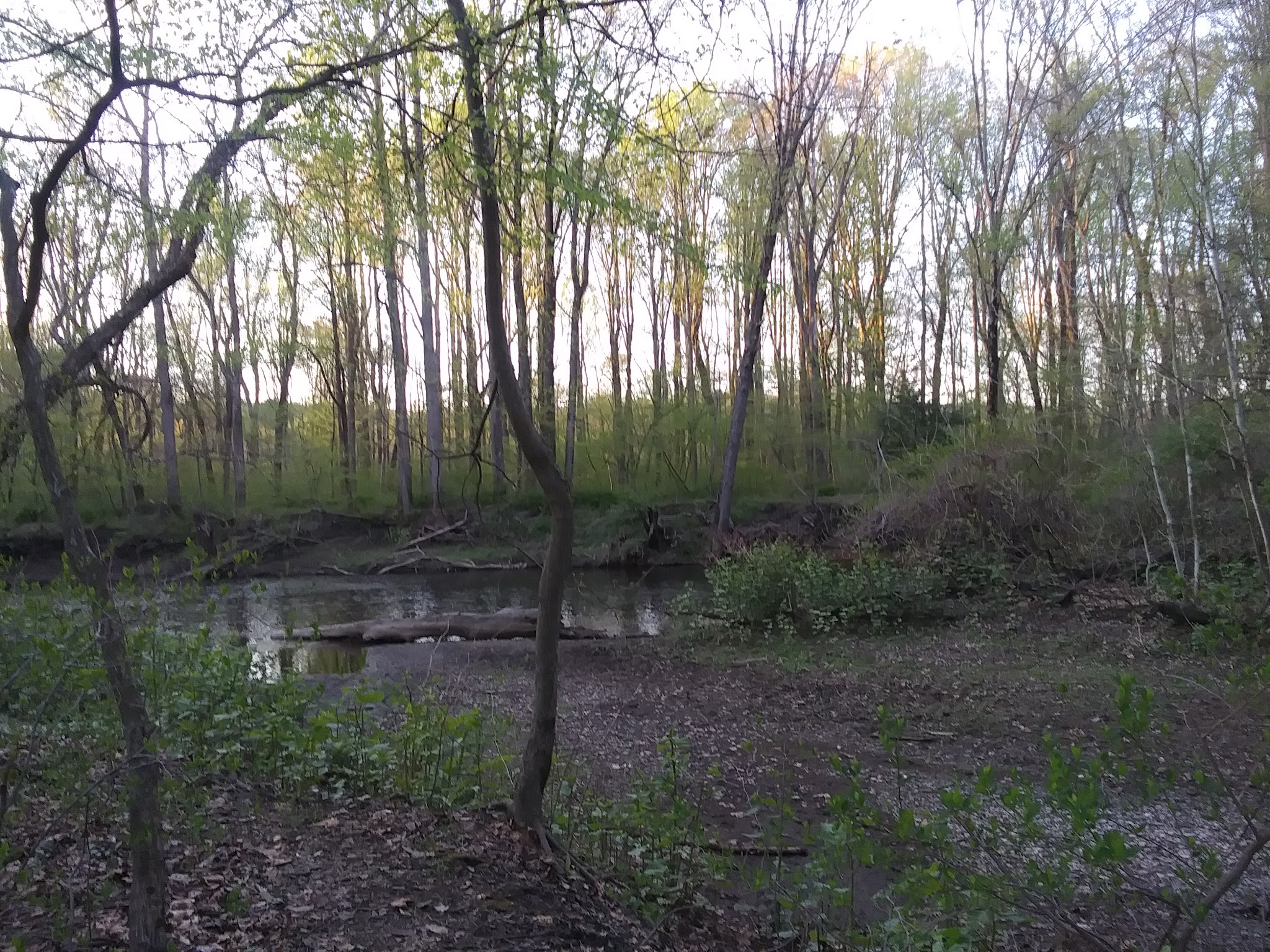 Swopes Valley Trailhead - Pine Grove, PA