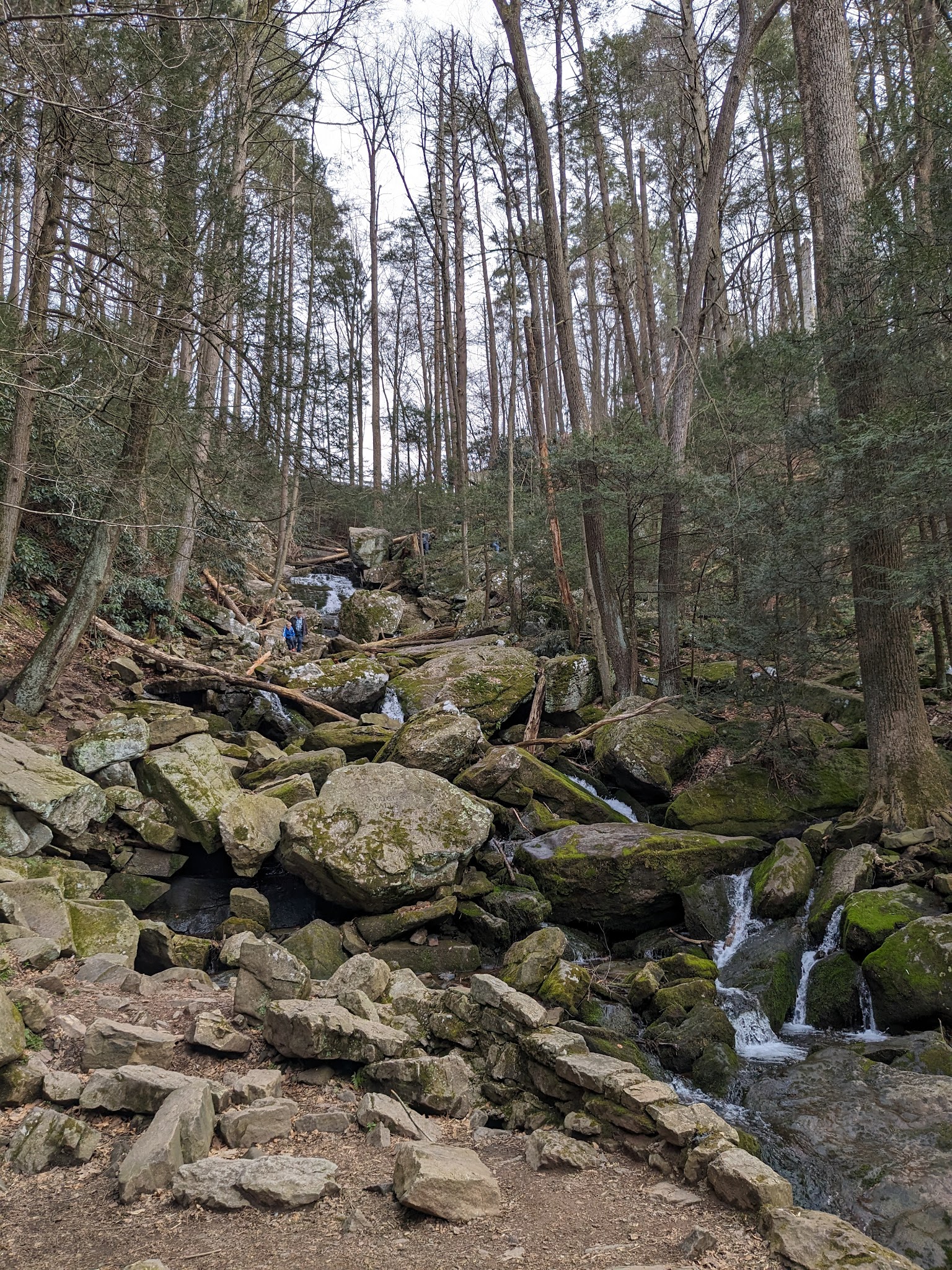 Swopes Valley Trailhead - Pine Grove, PA