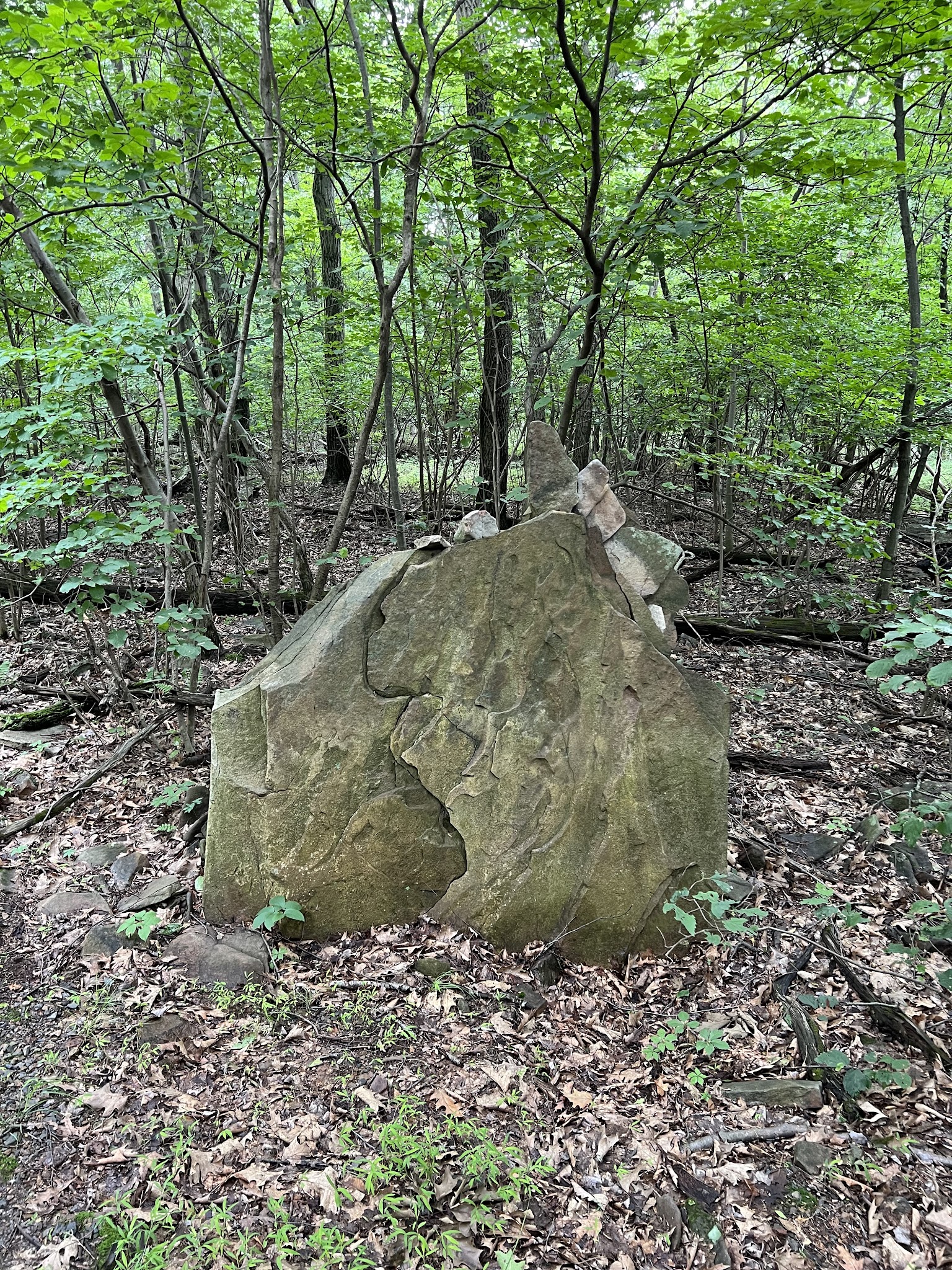 Weiser State Forest - Pine Grove, PA