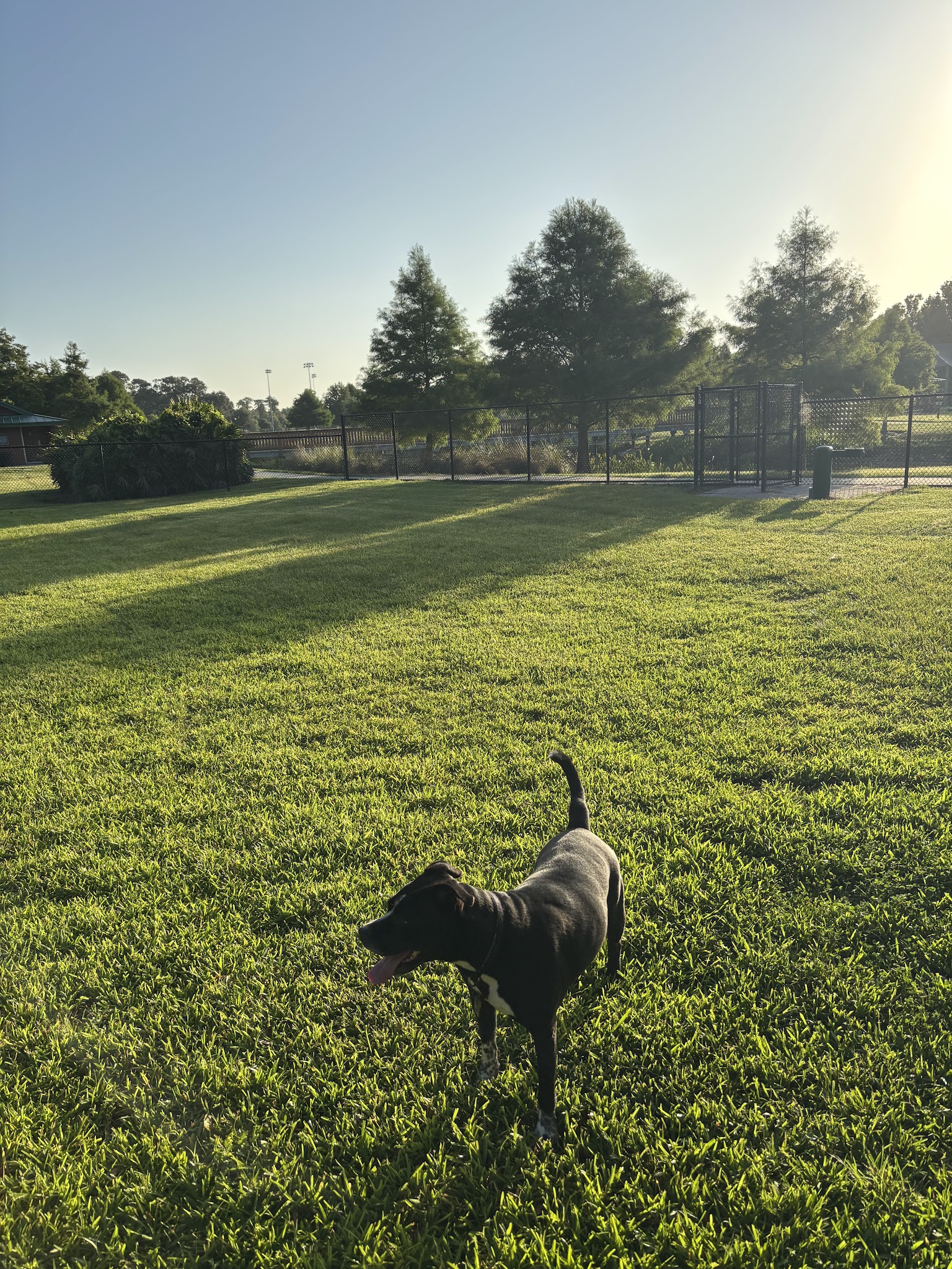 Barnett Dog park - Pine Hills, FL