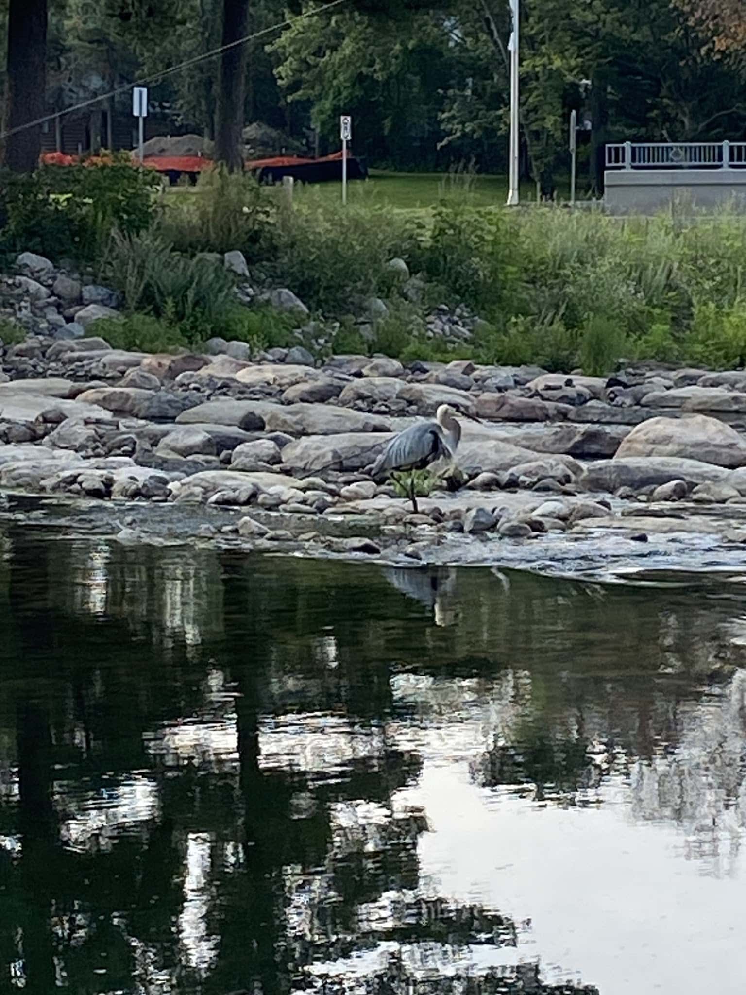 Pine River Beach - Pine River, MN