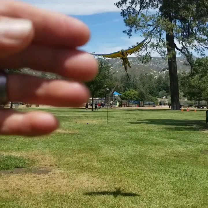 Pine Valley County Park - Pine Valley, CA