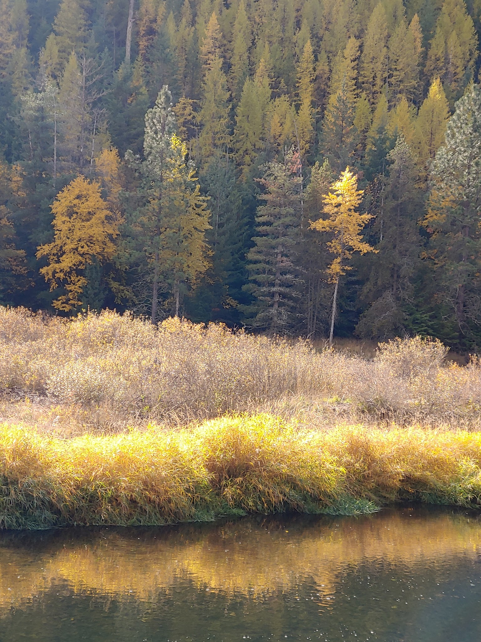 Trail of the Coeur d'Alene, Pinehurst Trail Head - Pinehurst, ID