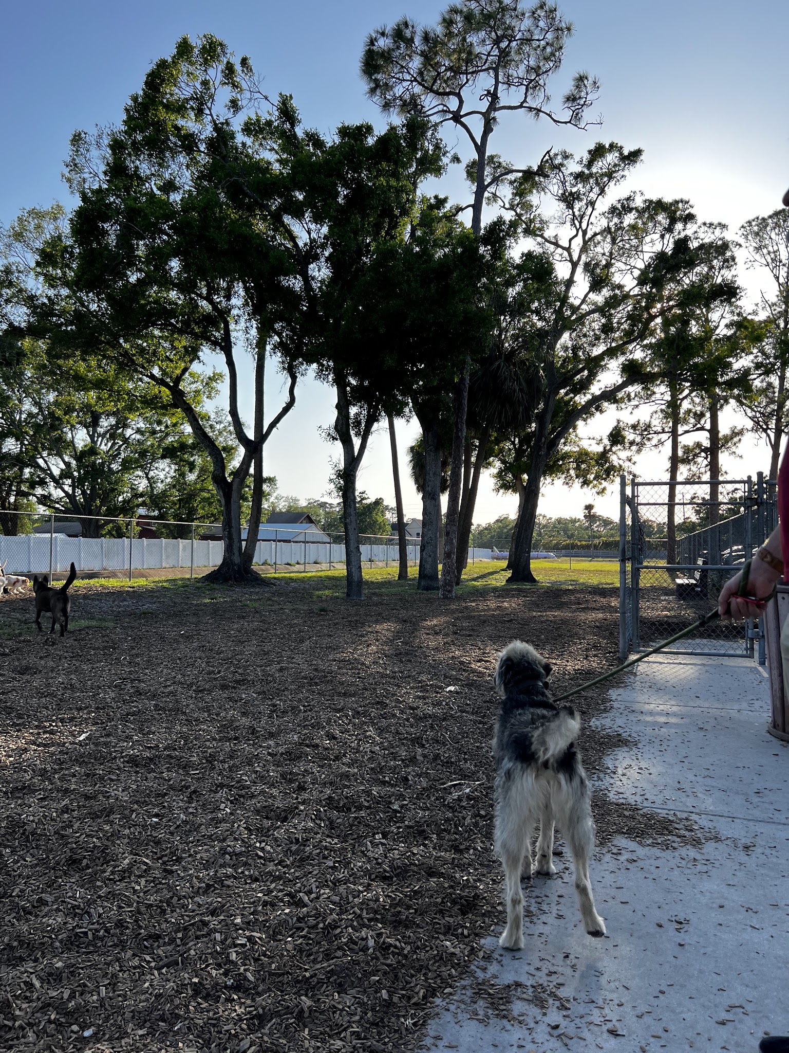 Broderick Dog Park - Pinellas Park, FL
