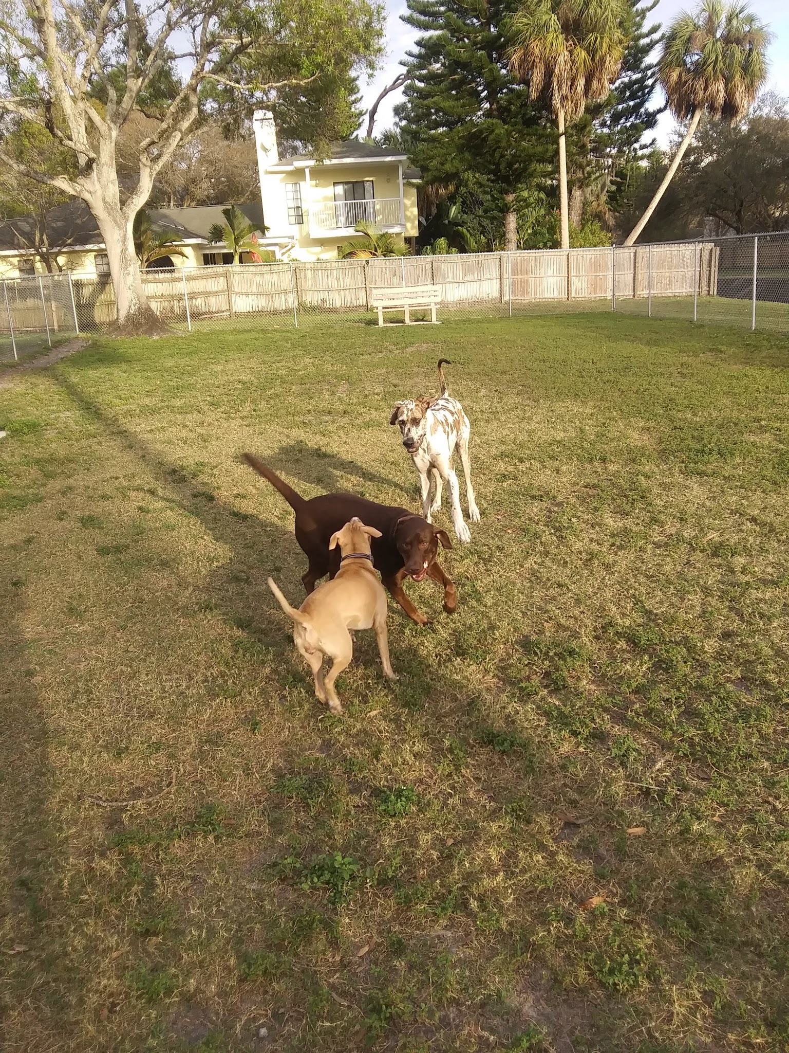 Broderick Dog Park - Pinellas Park, FL