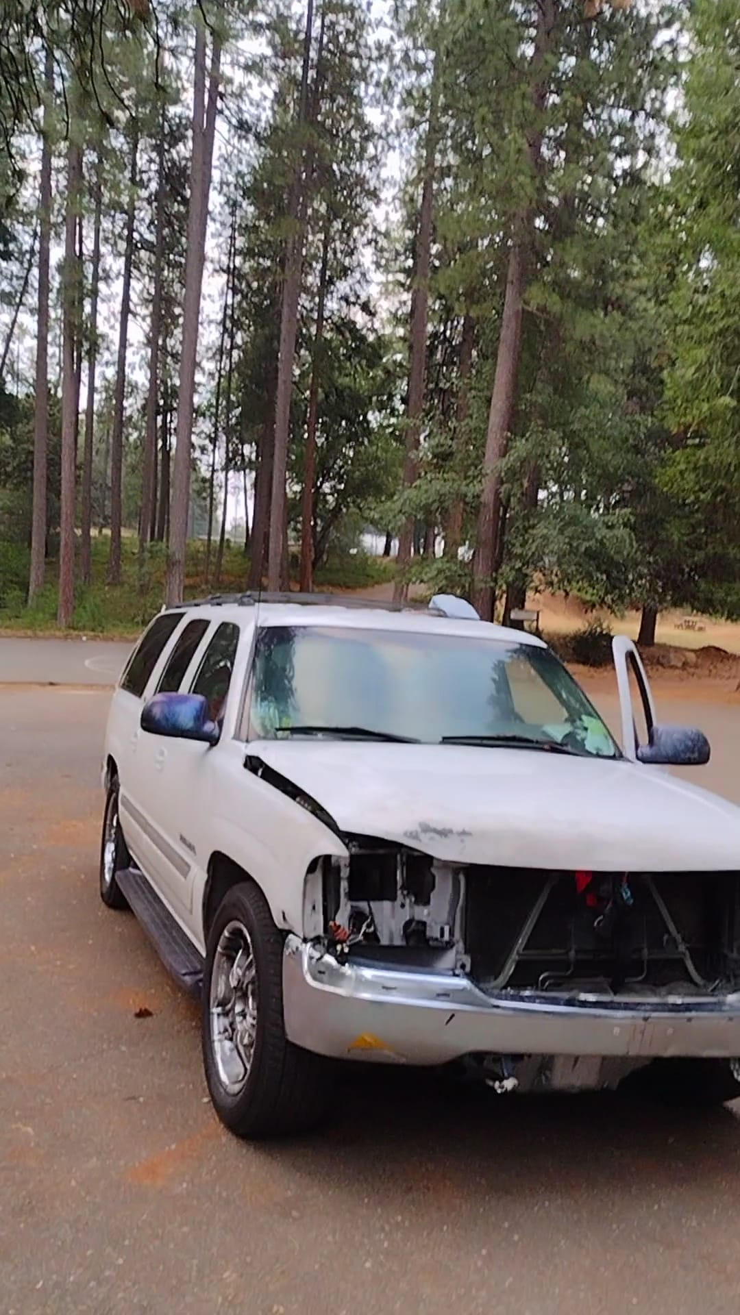 Pioneer Park - Pioneer, CA