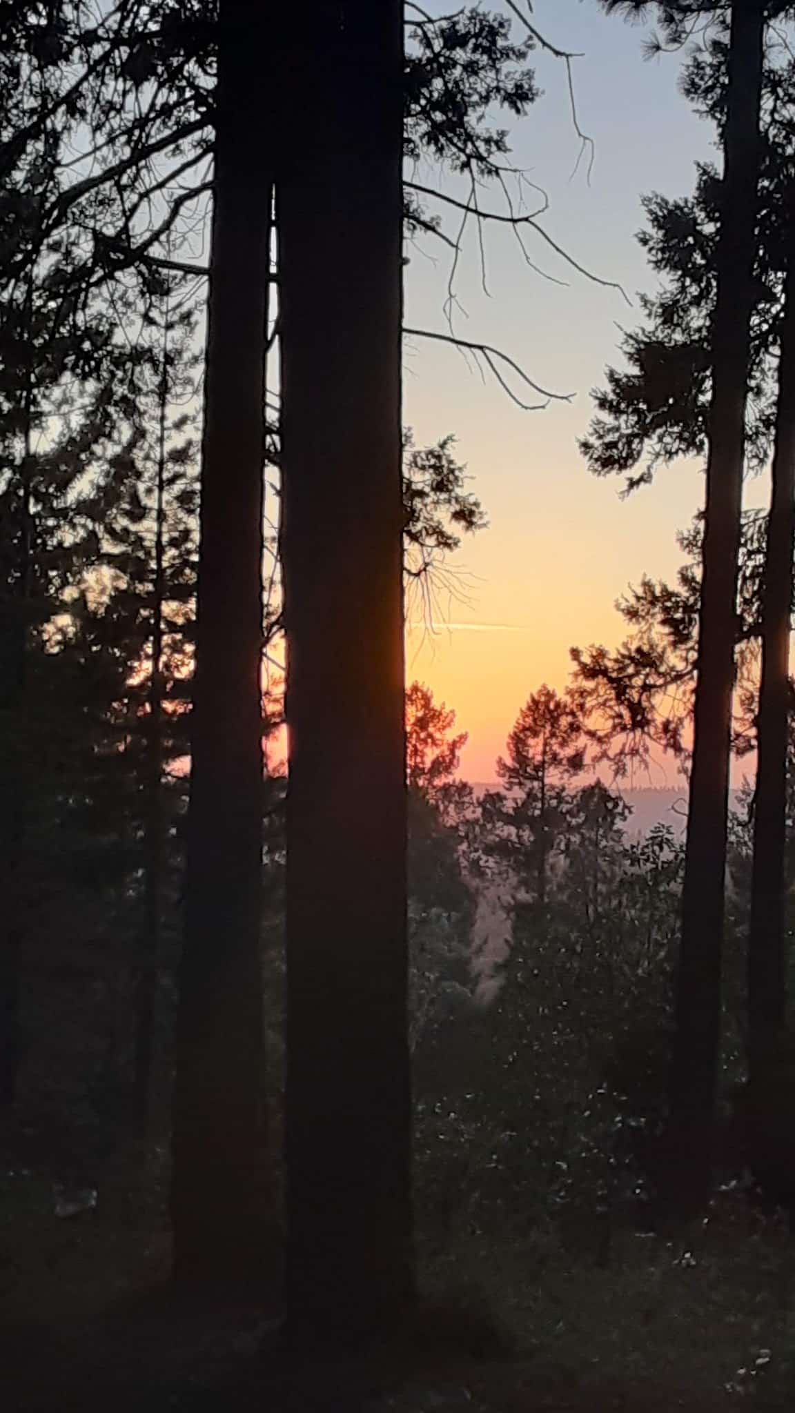 Pioneer Park - Pioneer, CA