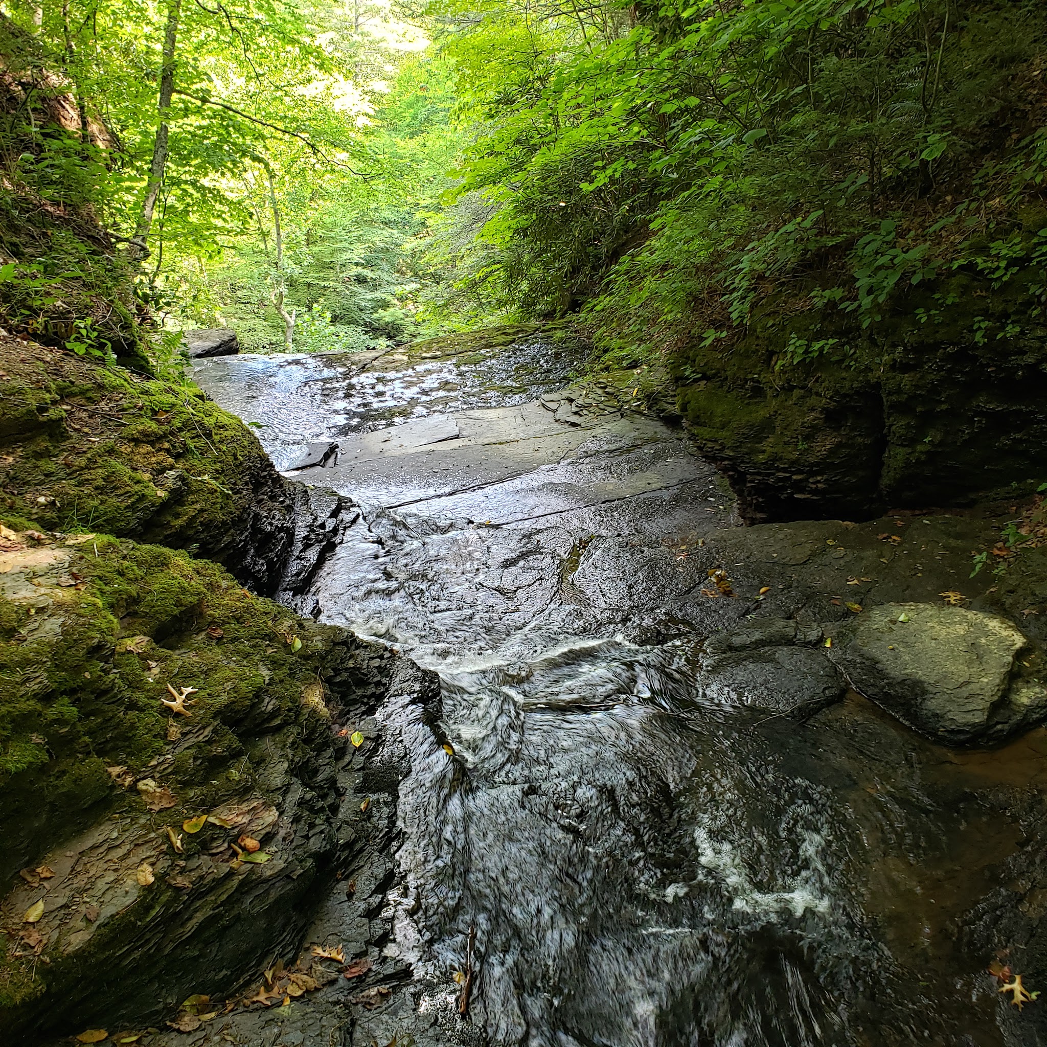 Pipestem Falls Park - Pipestem, WV