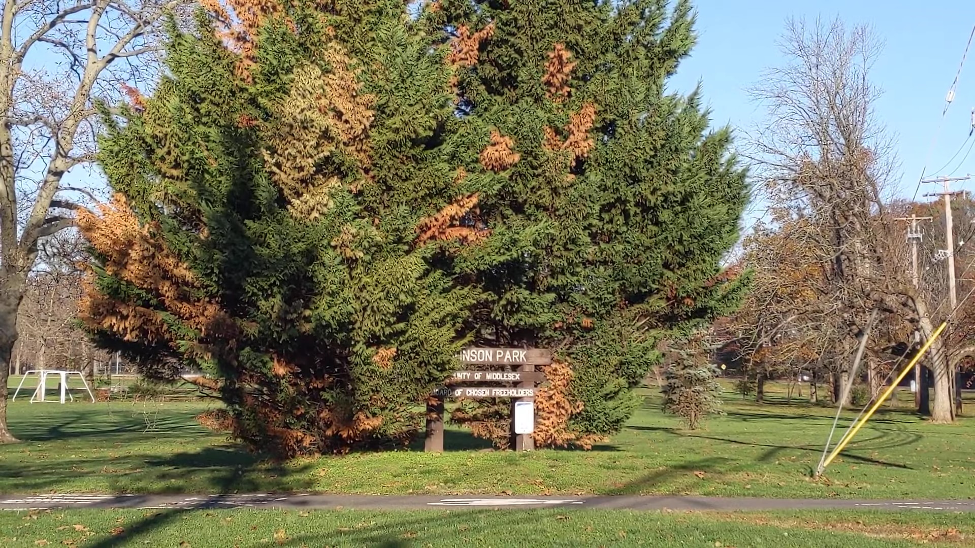 Johnson Park - Piscataway, NJ