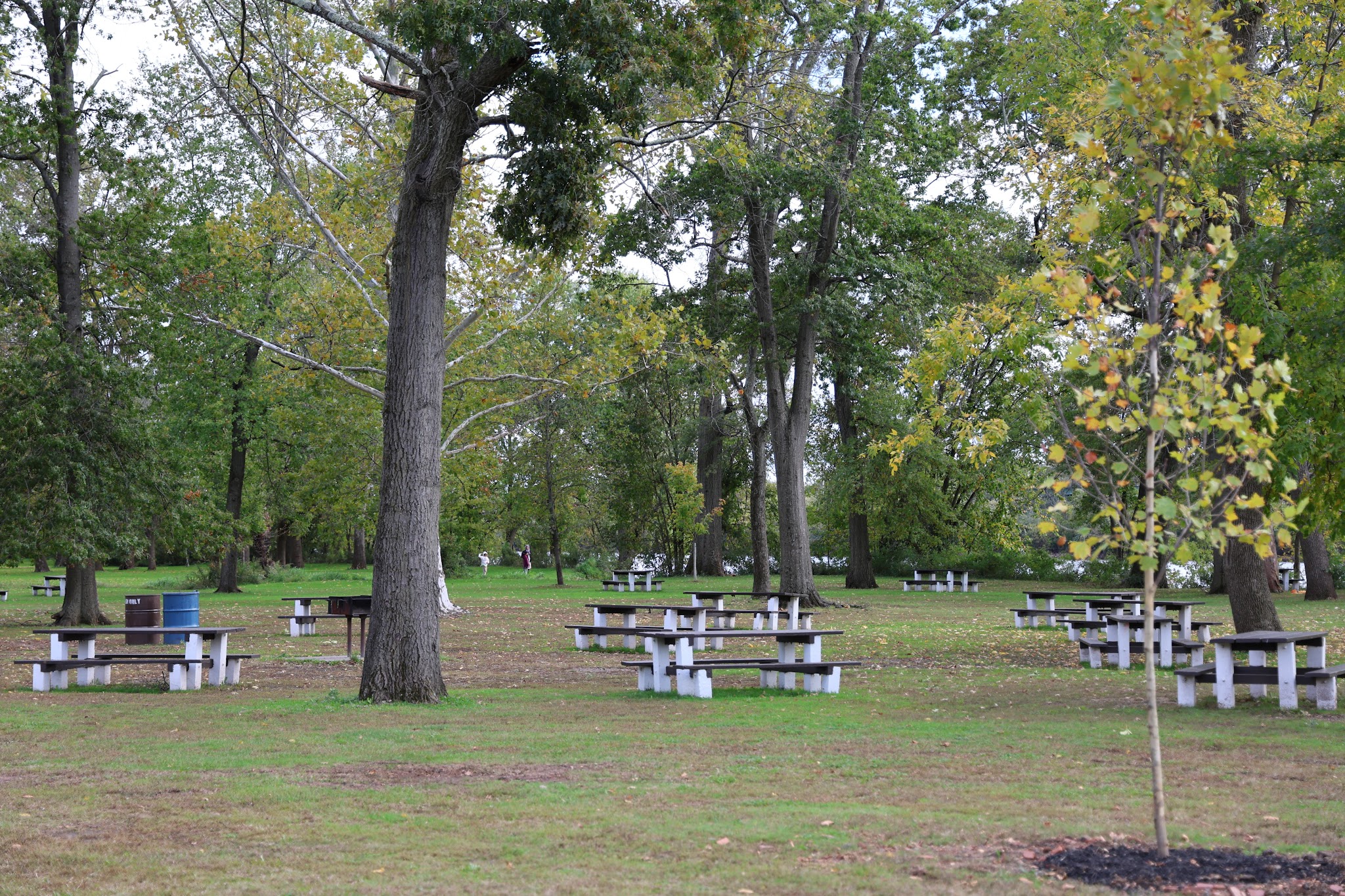 Johnson Park - Piscataway, NJ