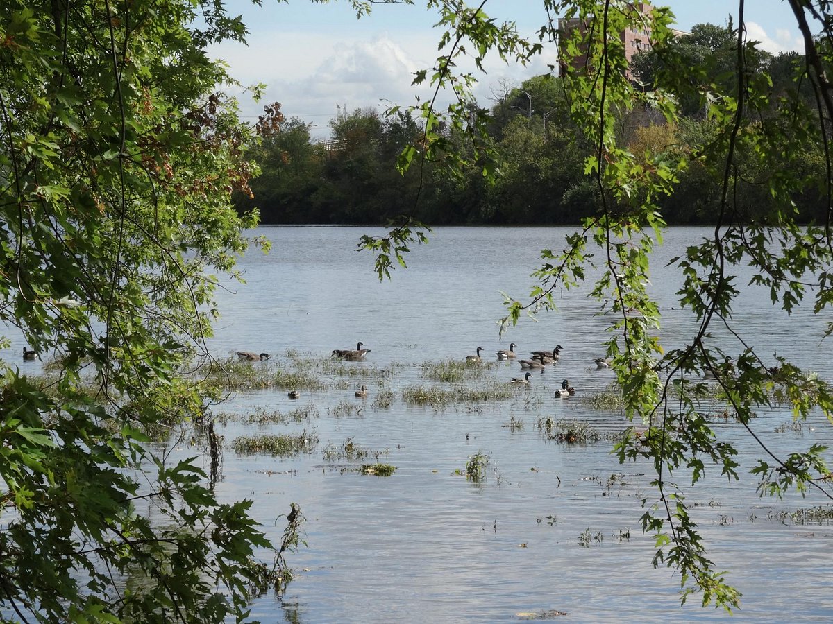 Johnson Park - Piscataway, NJ