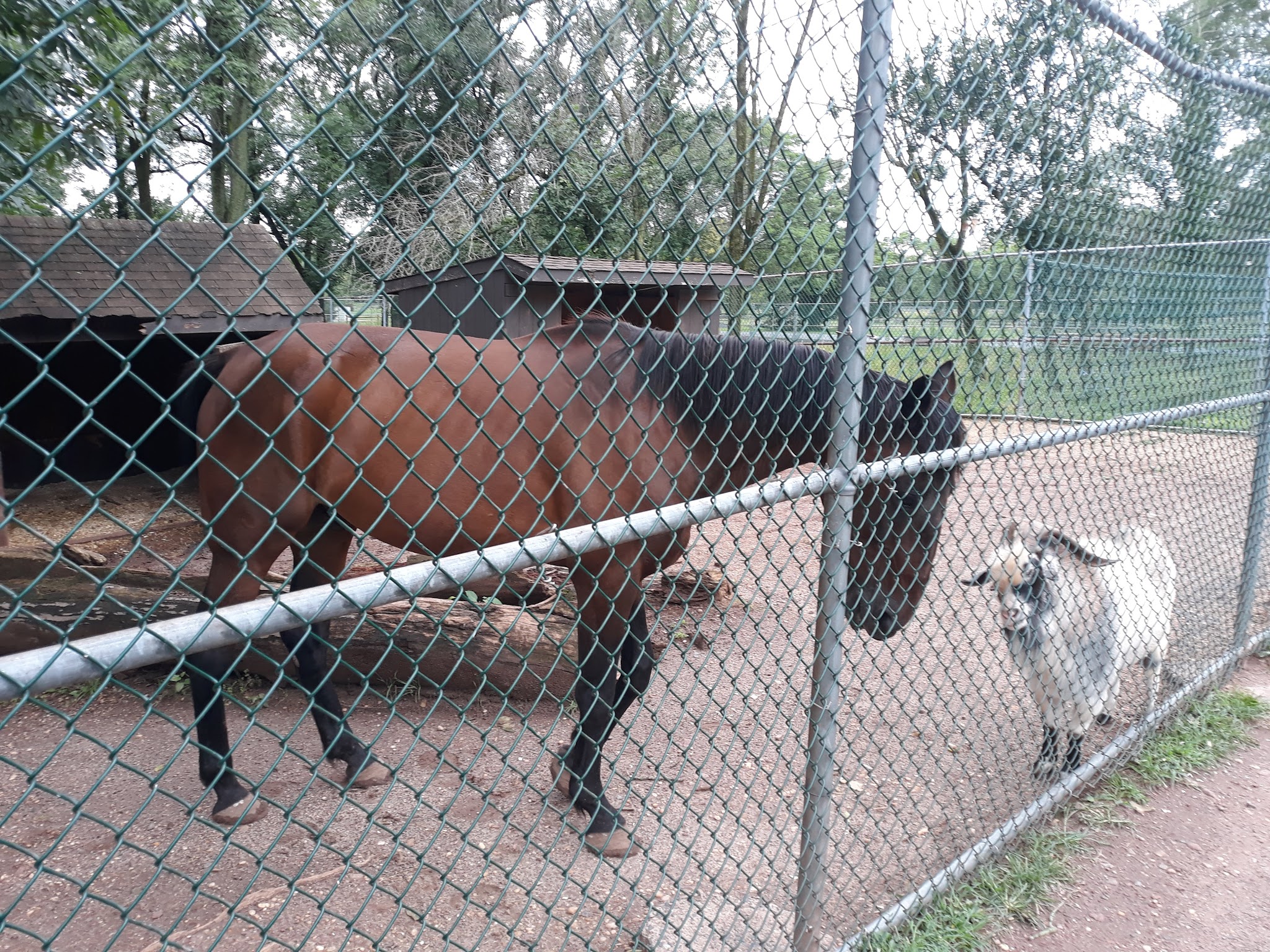 Johnson Park - Piscataway, NJ