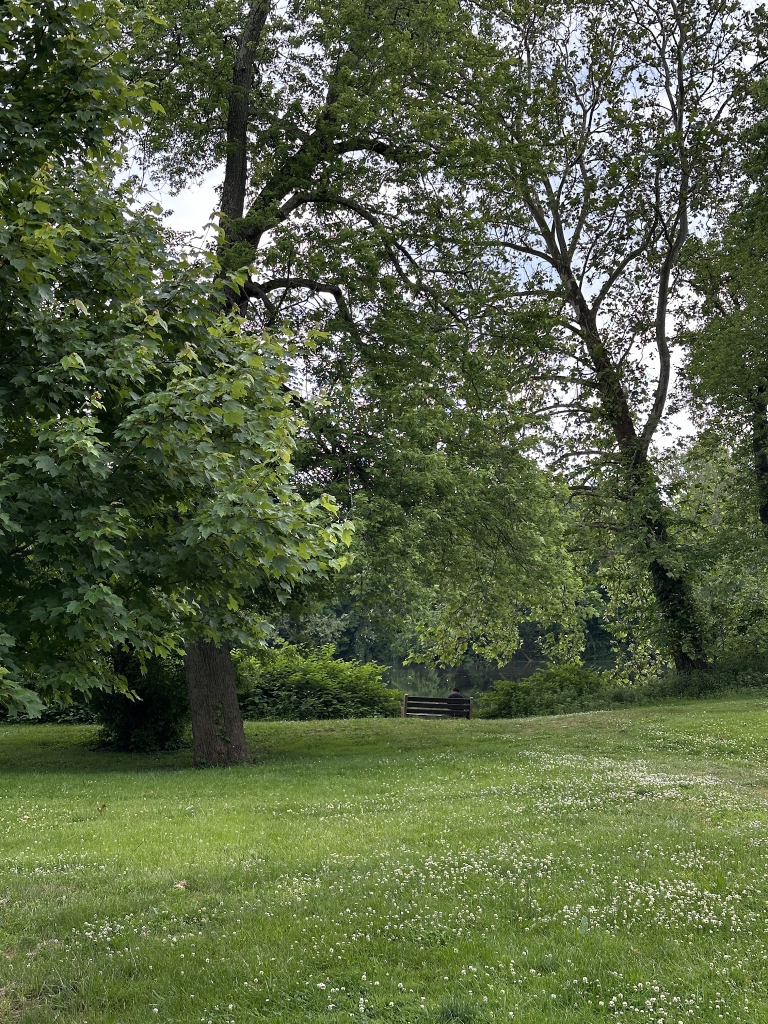 Johnson Park - Grove 5 - Piscataway, NJ